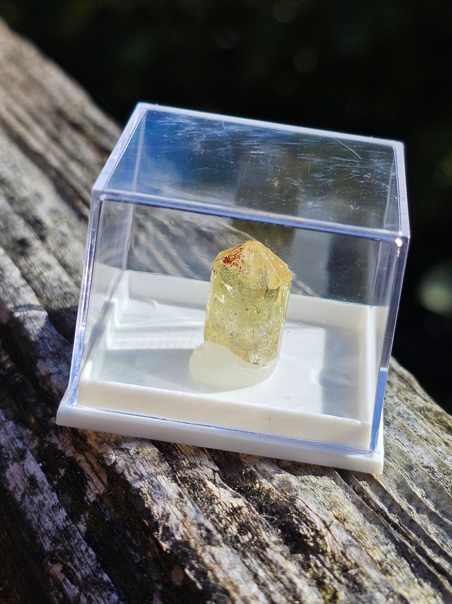 Apatite jaune du Mexique A1