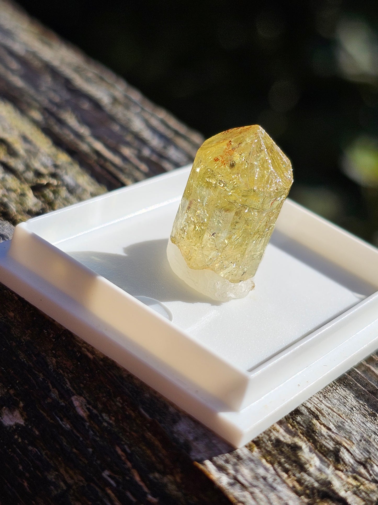 Apatite jaune du Mexique A1