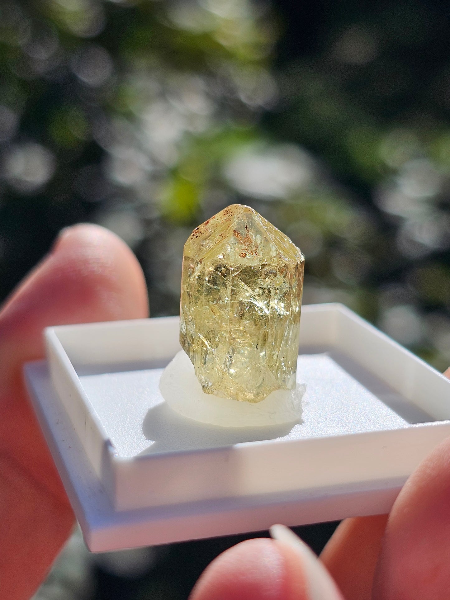 Apatite jaune du Mexique A1