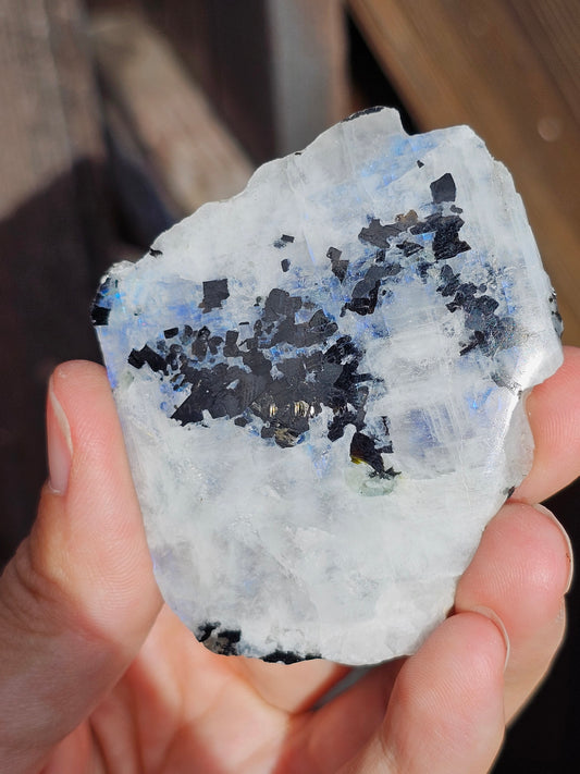 Petite tranche Labradorite blanche (à choisir)