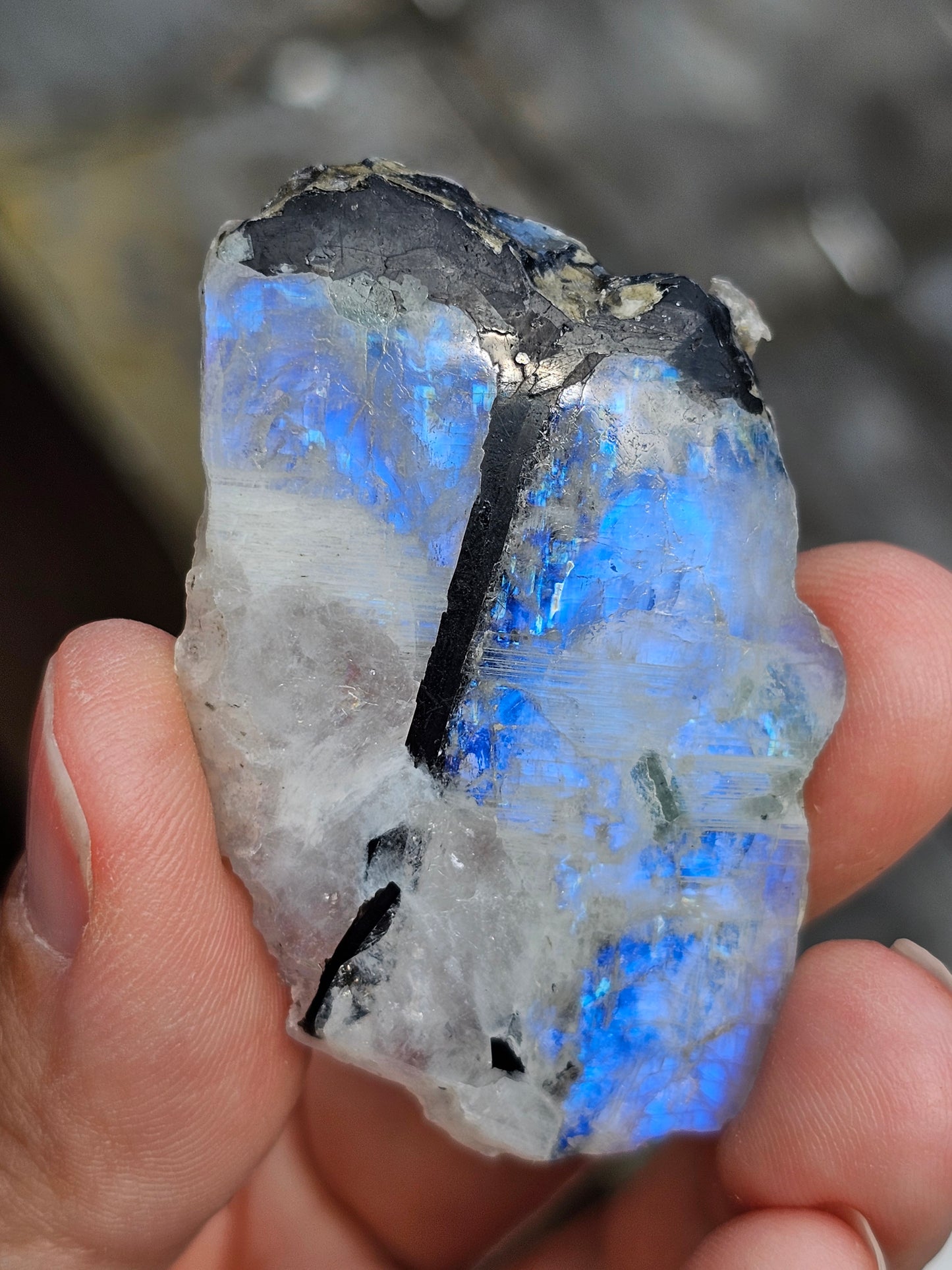Petite tranche Labradorite blanche (à choisir)