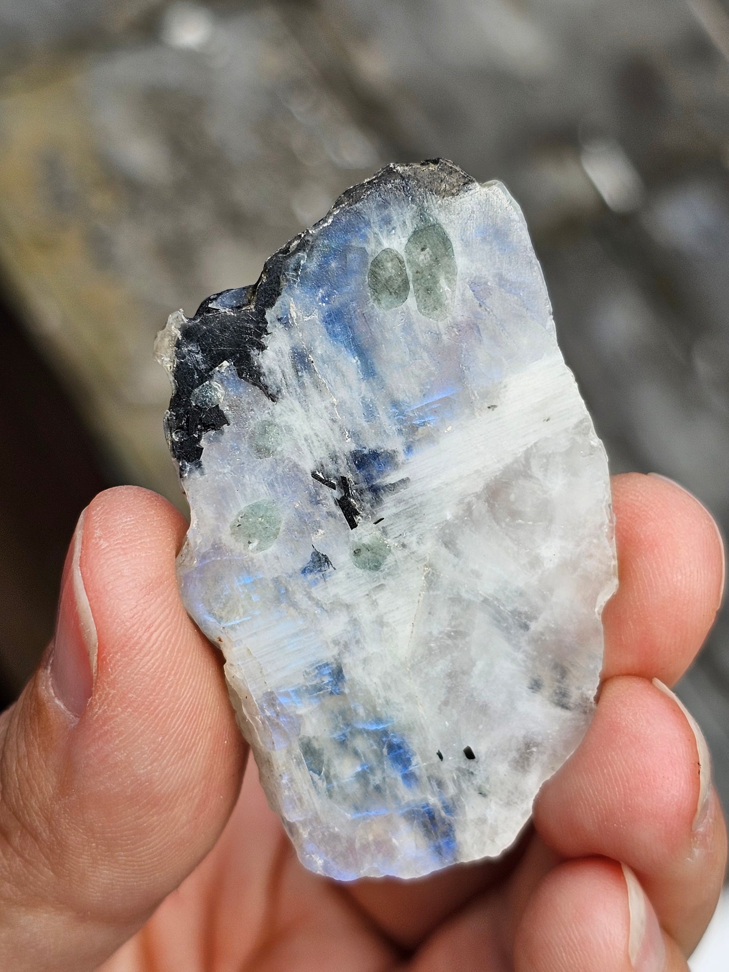 Petite tranche Labradorite blanche (à choisir)