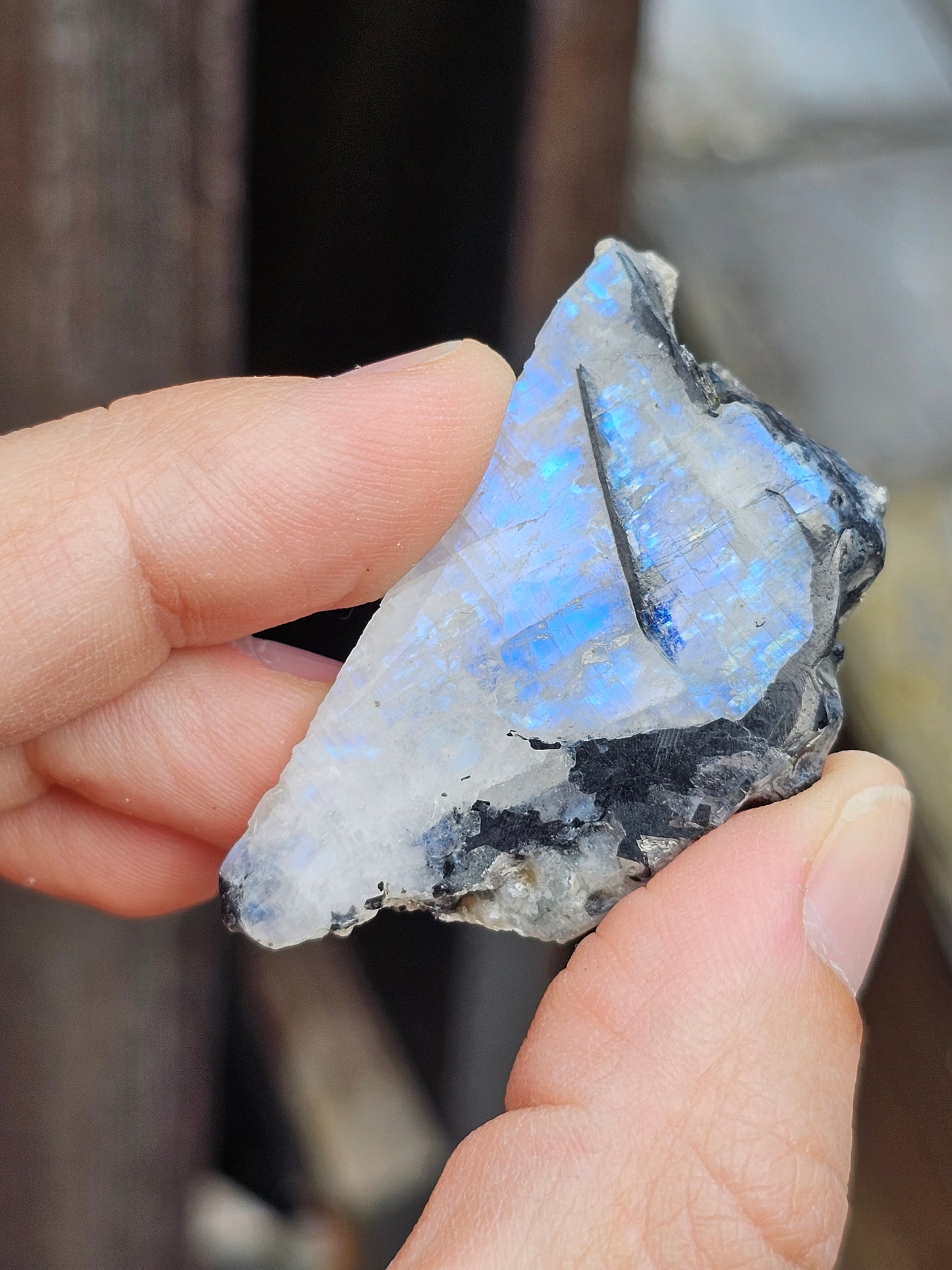 Petite tranche Labradorite blanche (à choisir)