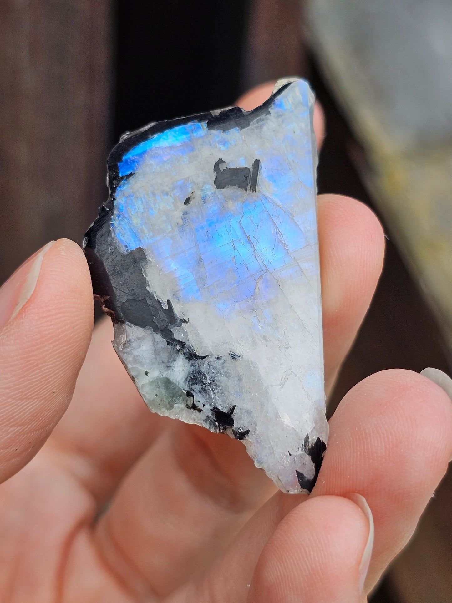 Petite tranche Labradorite blanche (à choisir)