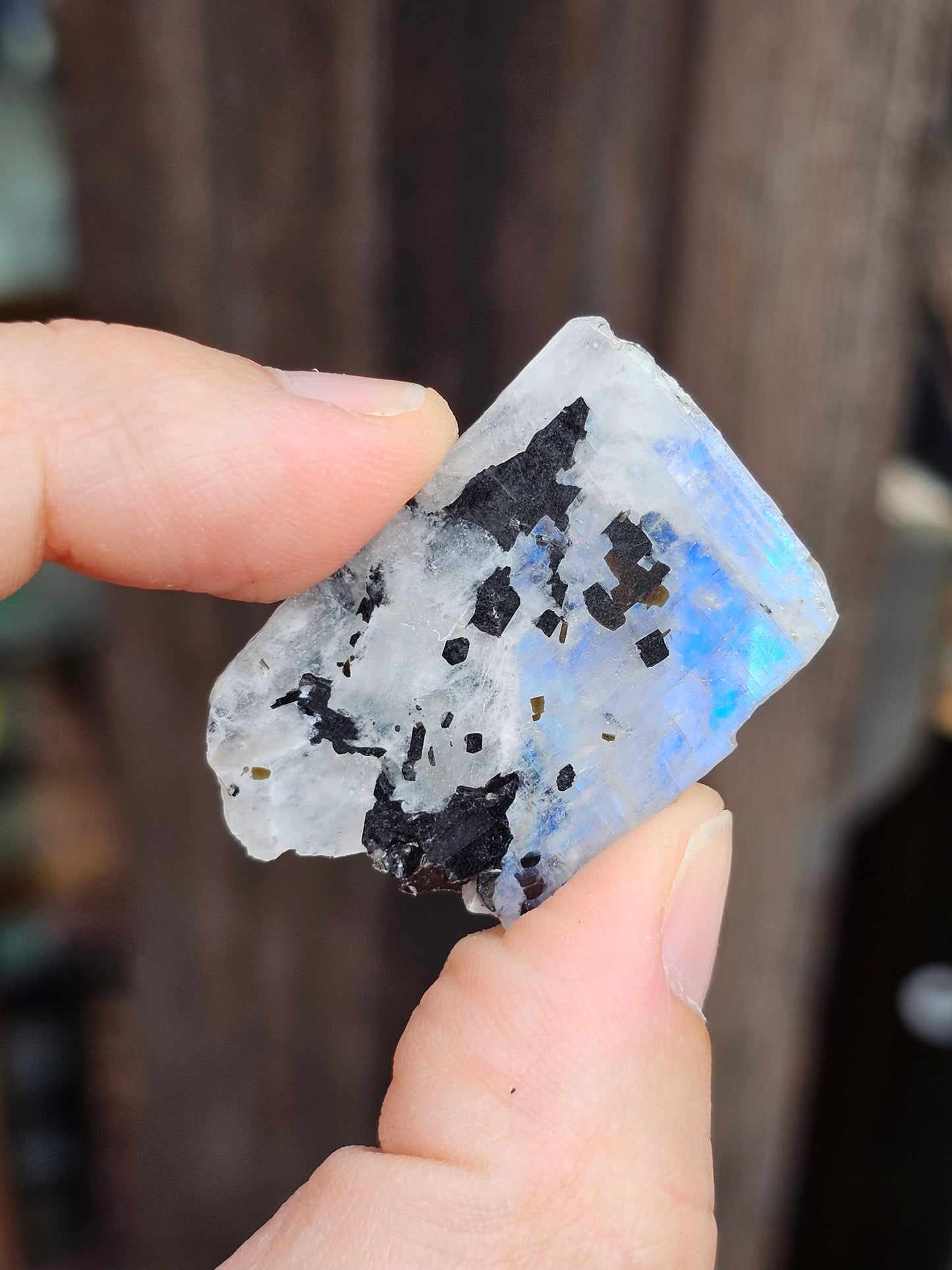 Petite tranche Labradorite blanche (à choisir)