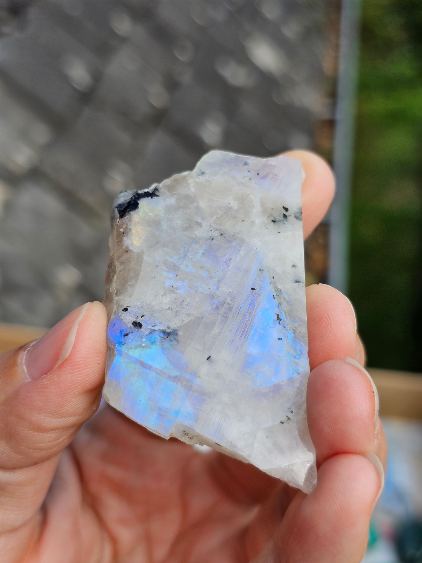 Petite tranche Labradorite blanche (à choisir)