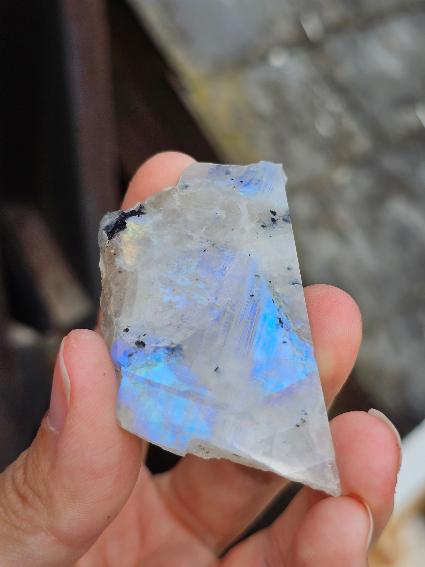 Petite tranche Labradorite blanche (à choisir)
