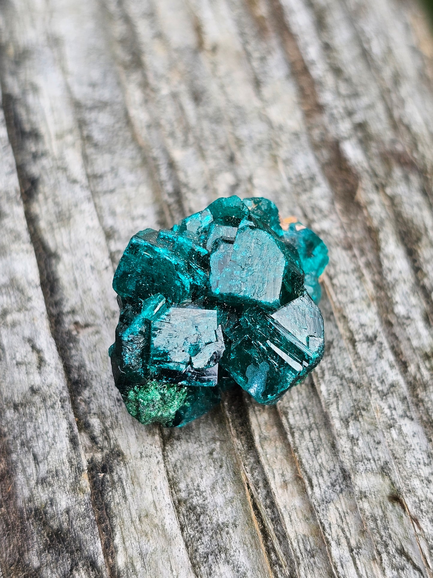 Dioptase cristallisée D