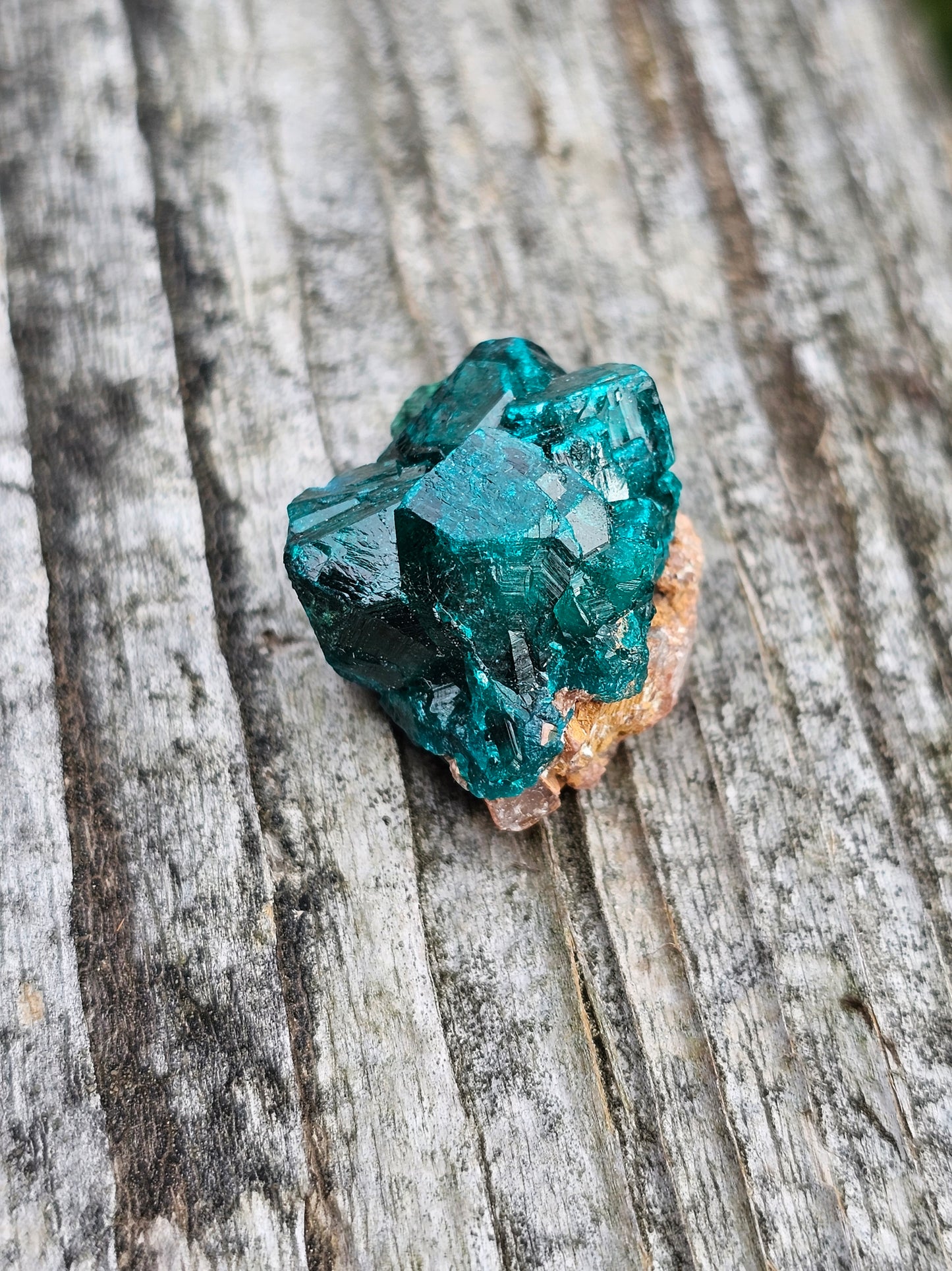 Dioptase cristallisée D