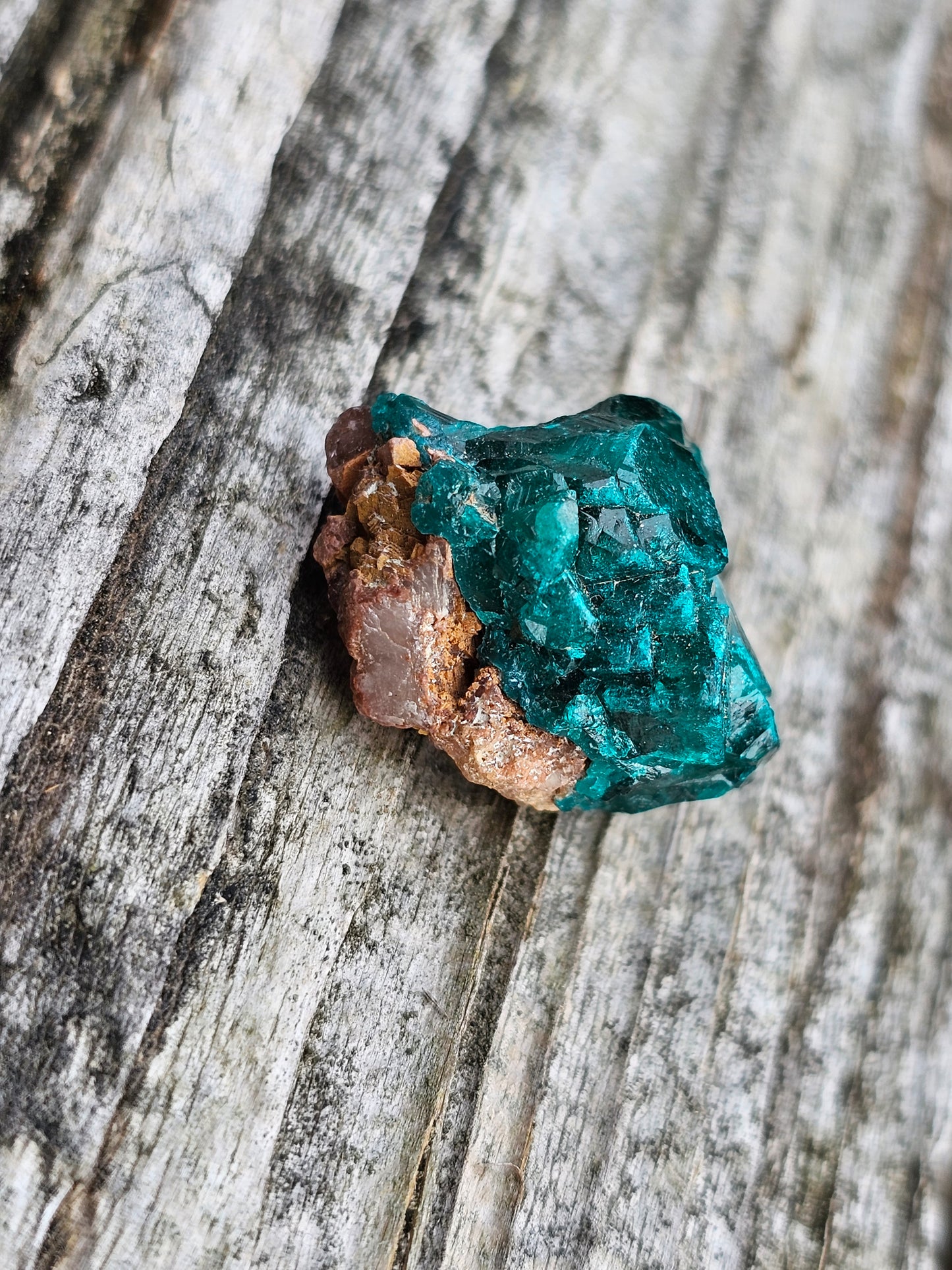 Dioptase cristallisée D