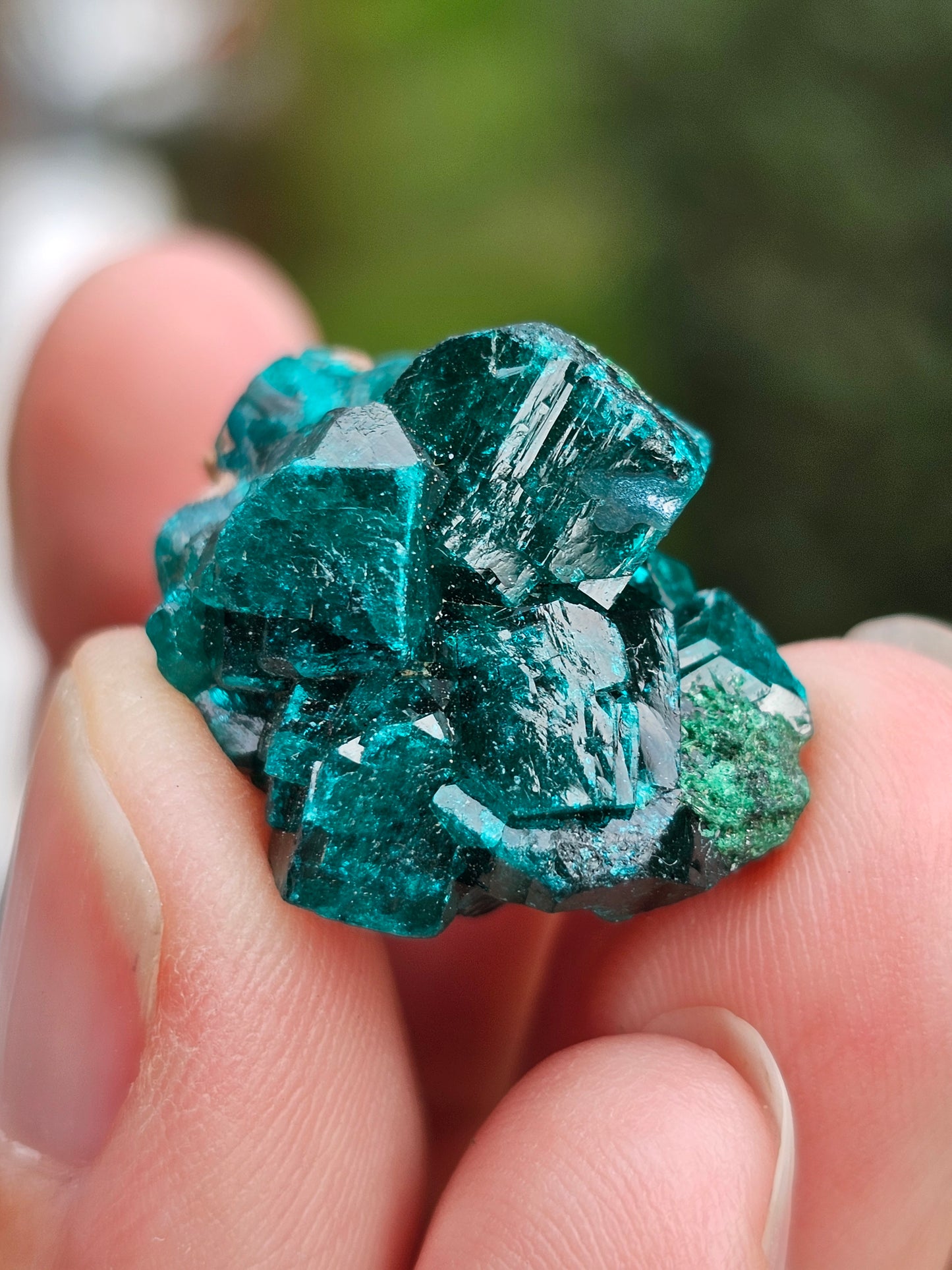 Dioptase cristallisée D
