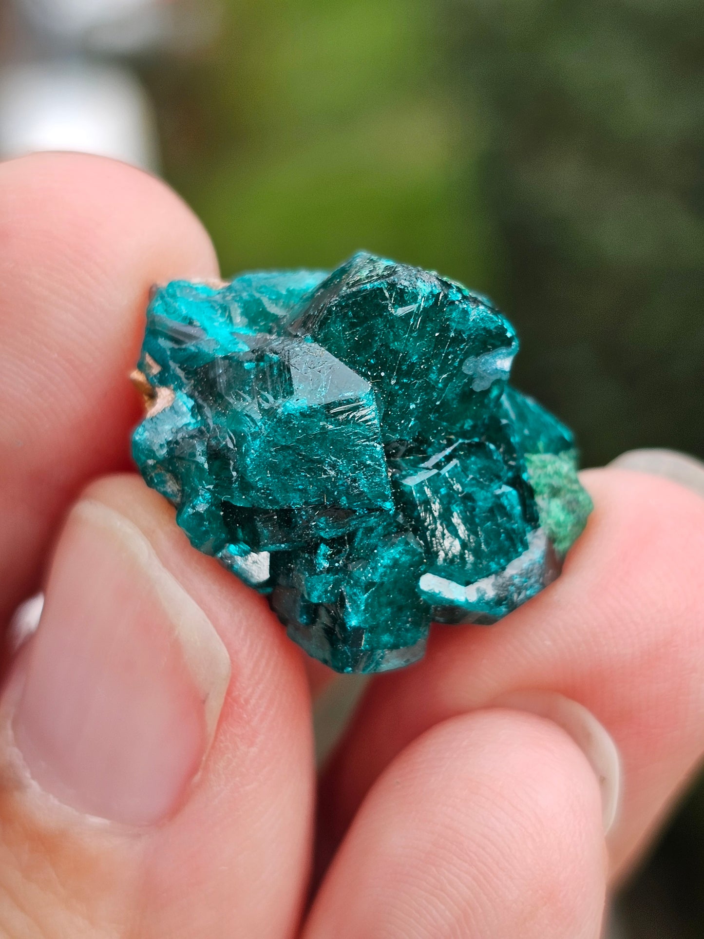 Dioptase cristallisée D