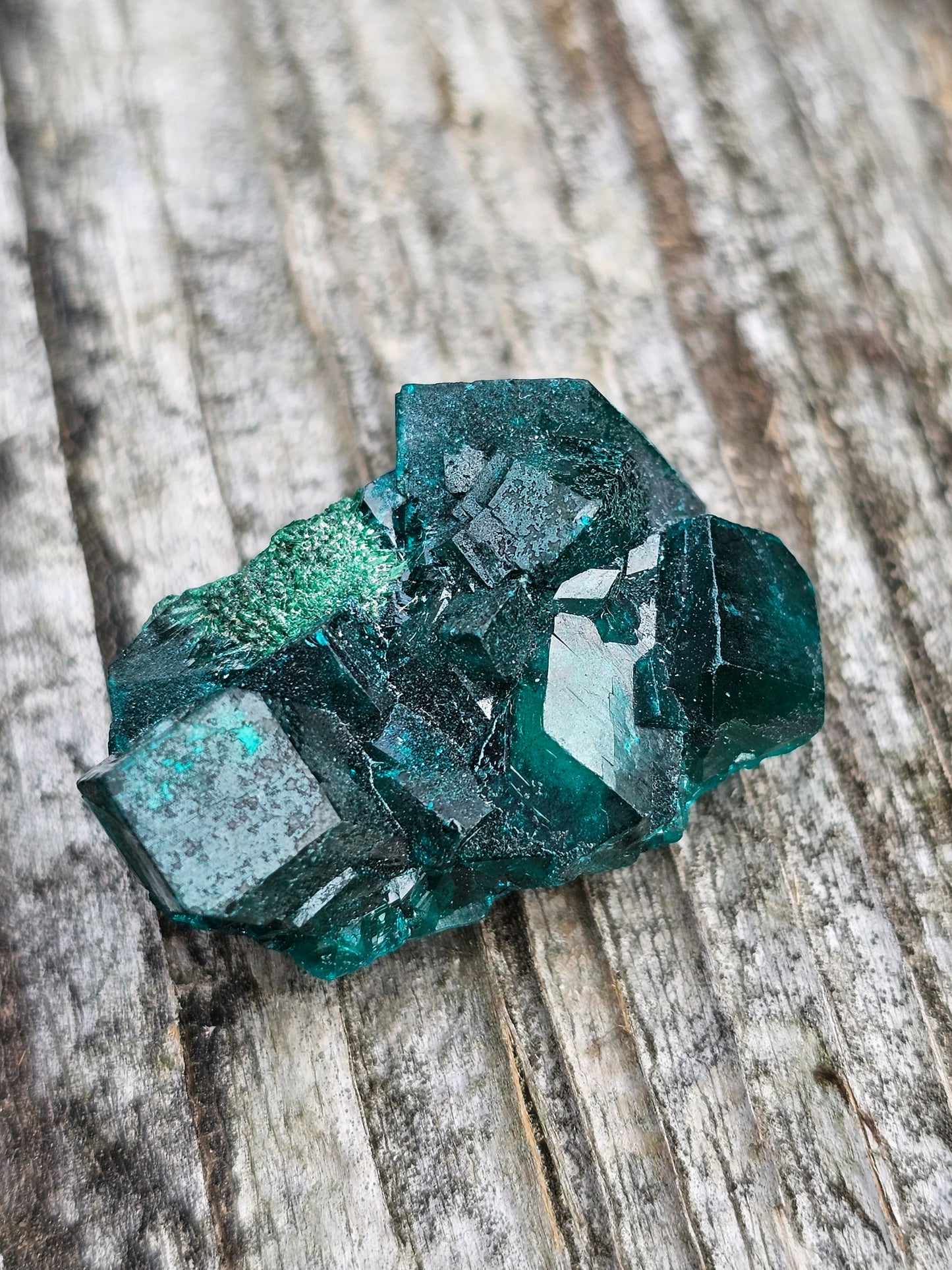 Dioptase cristallisée E