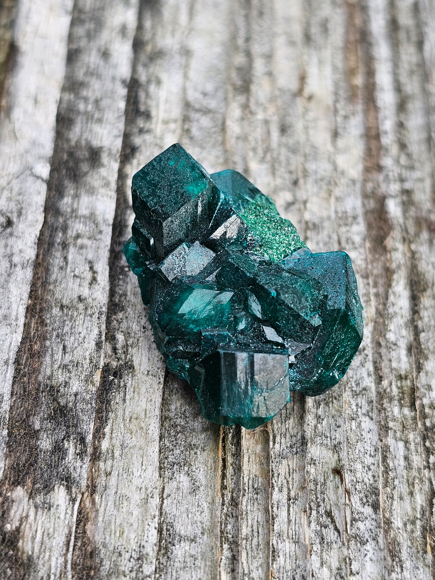 Dioptase cristallisée E