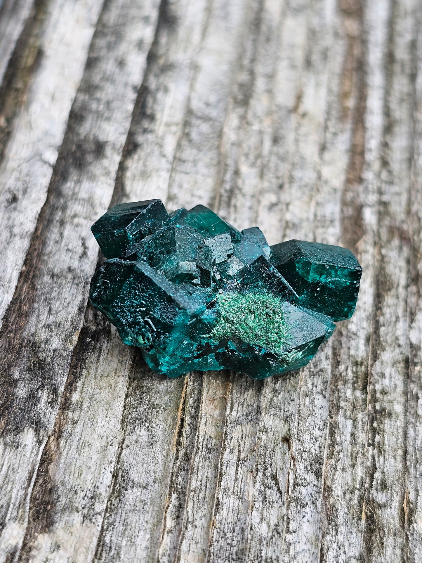 Dioptase cristallisée E