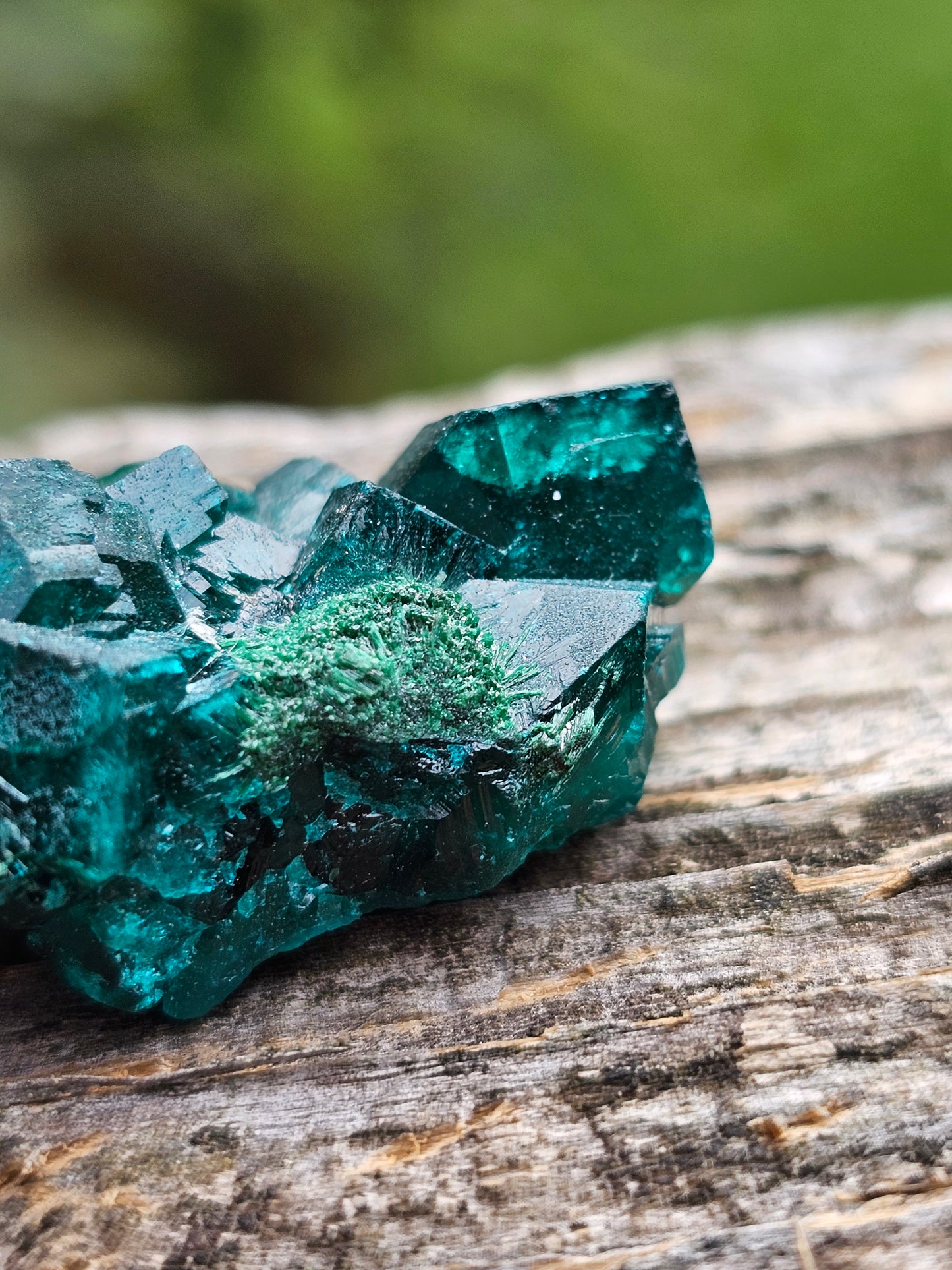 Dioptase cristallisée E