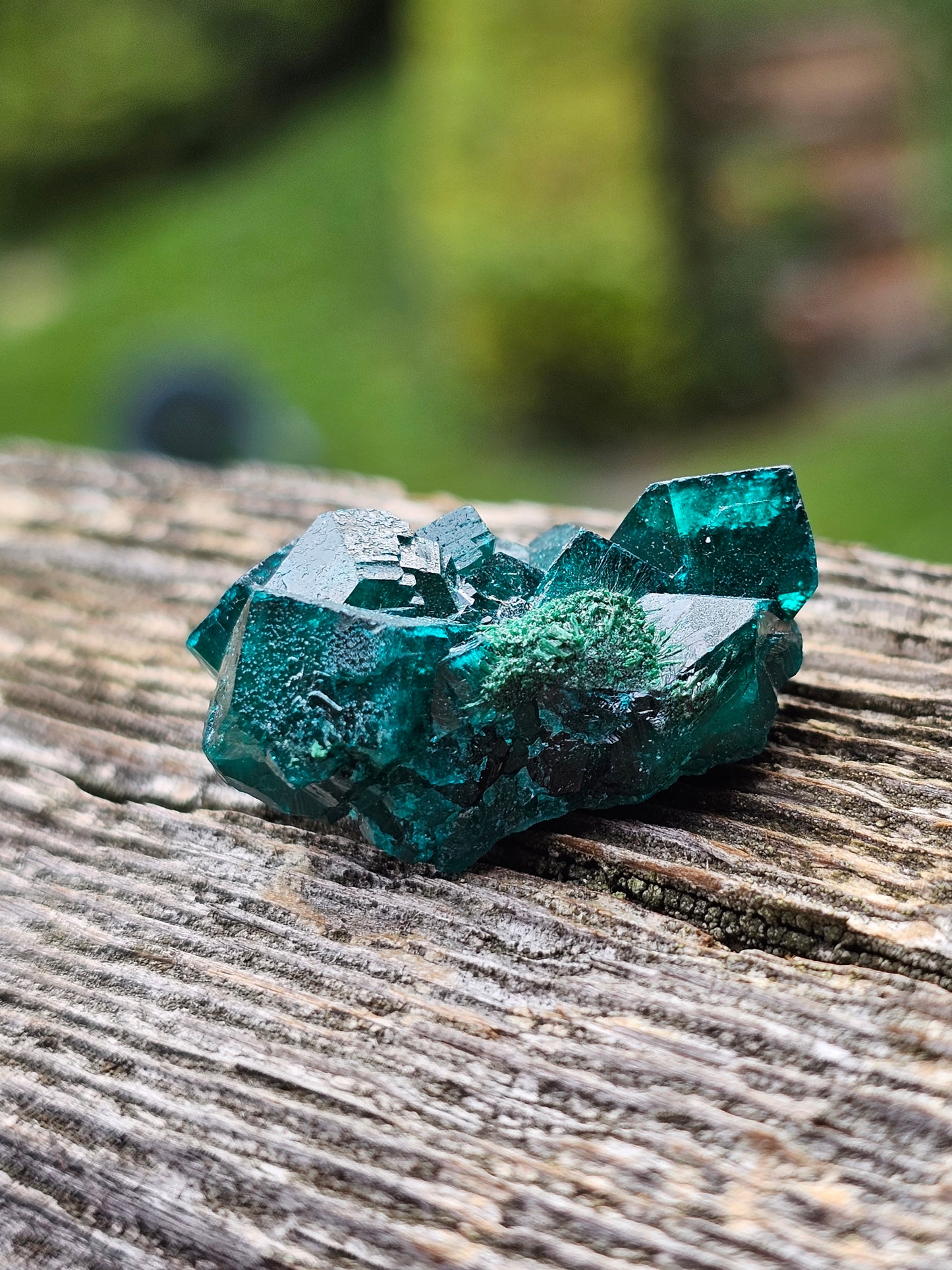 Dioptase cristallisée E