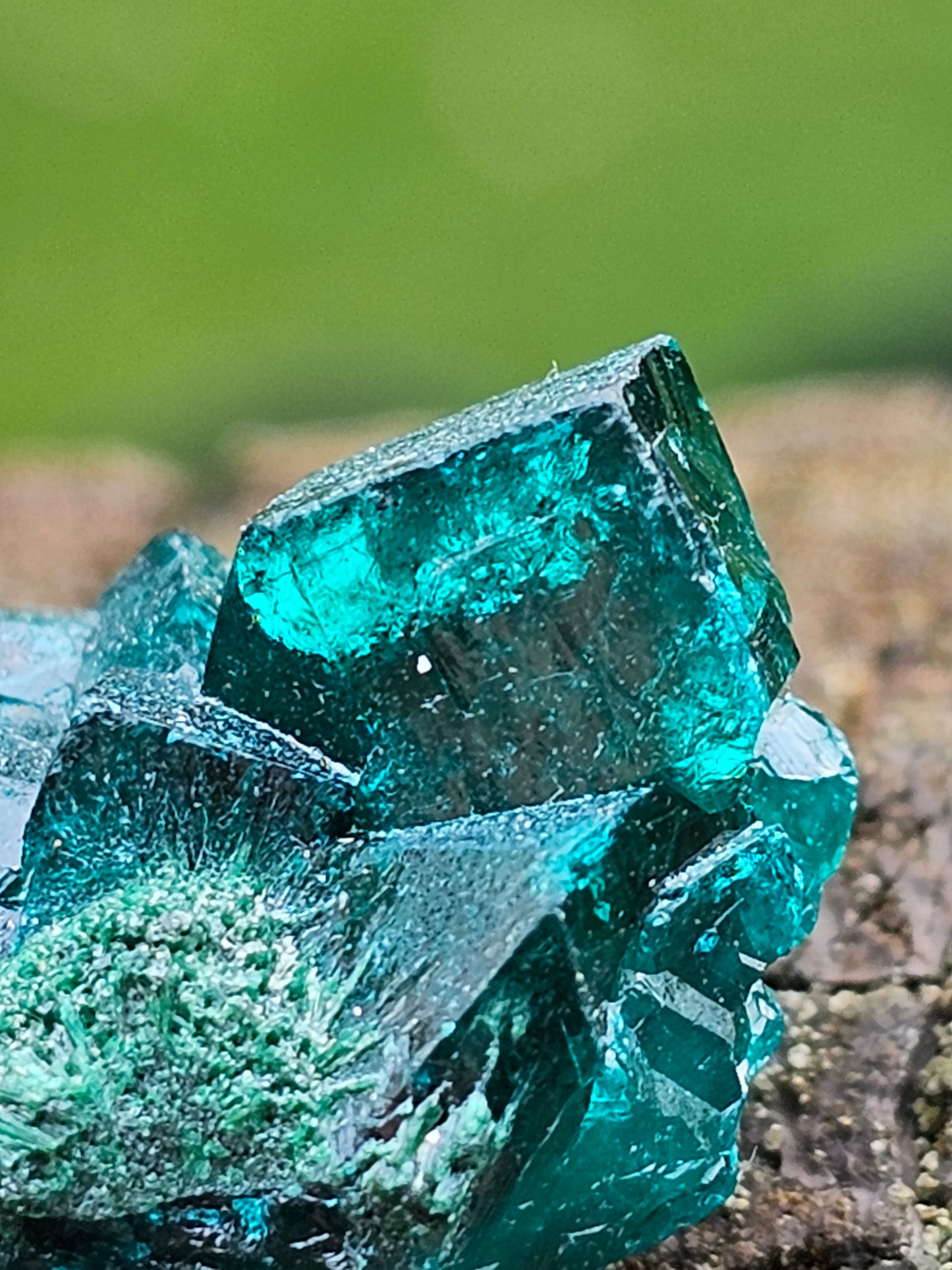Dioptase cristallisée E