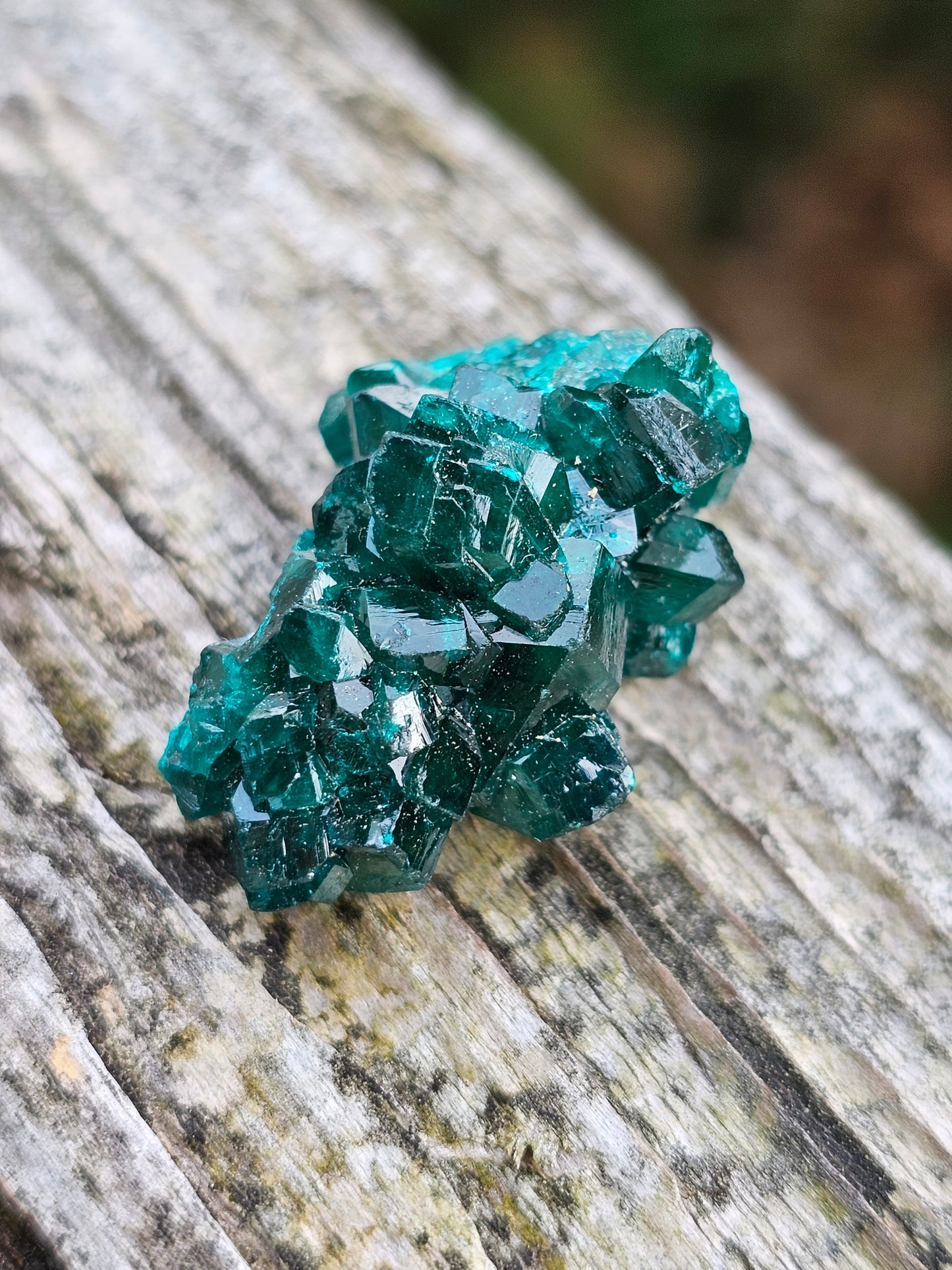 Dioptase cristallisée F