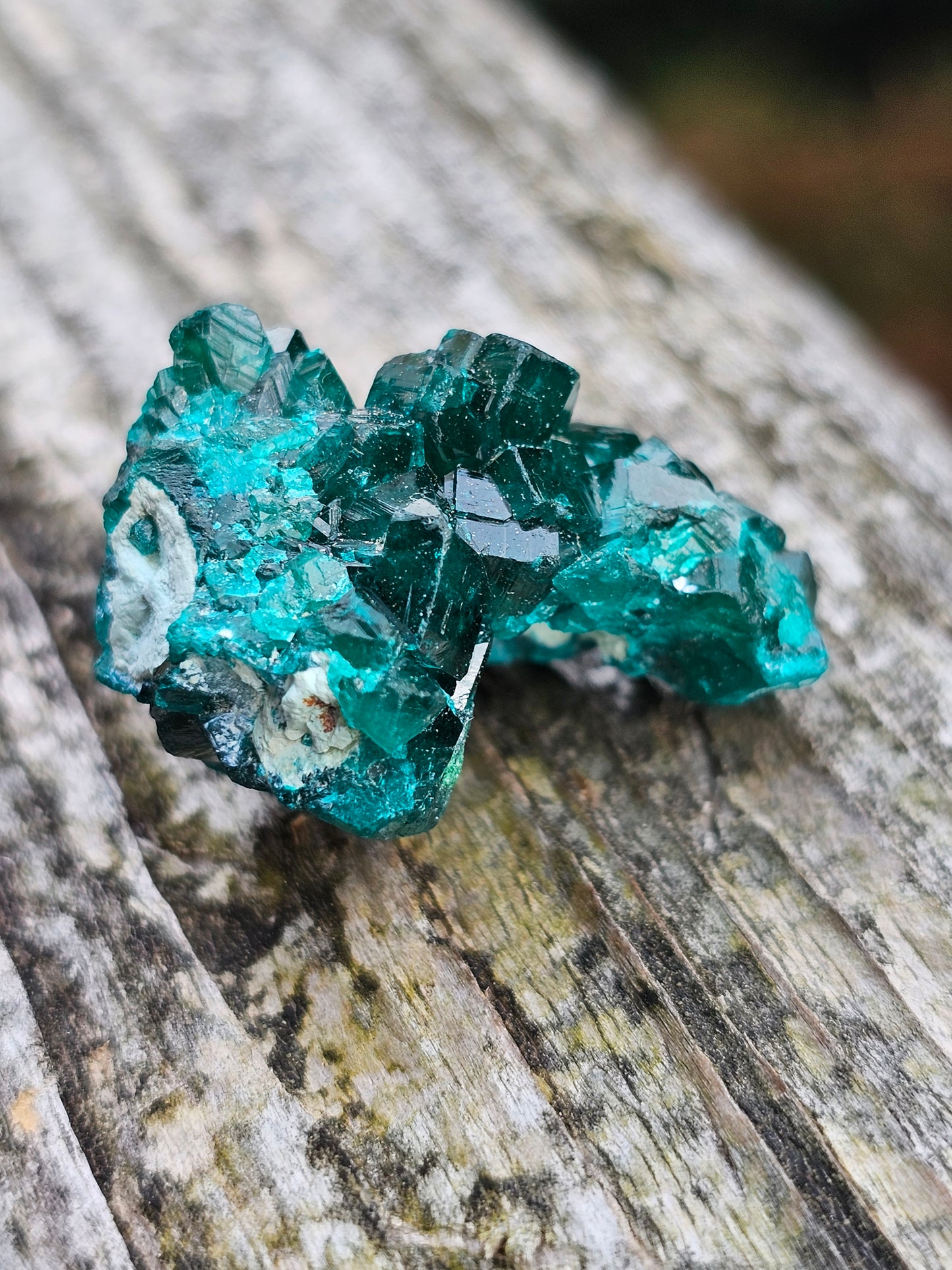 Dioptase cristallisée F