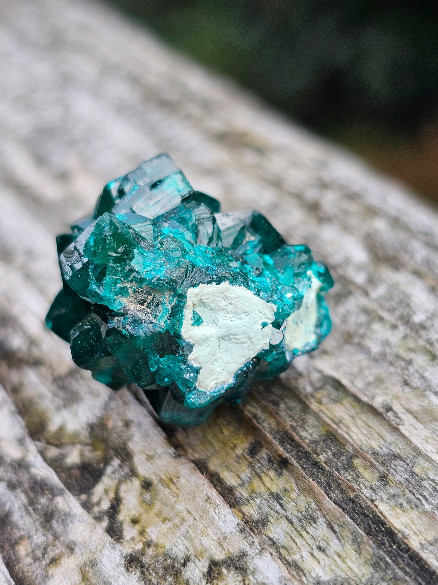 Dioptase cristallisée F