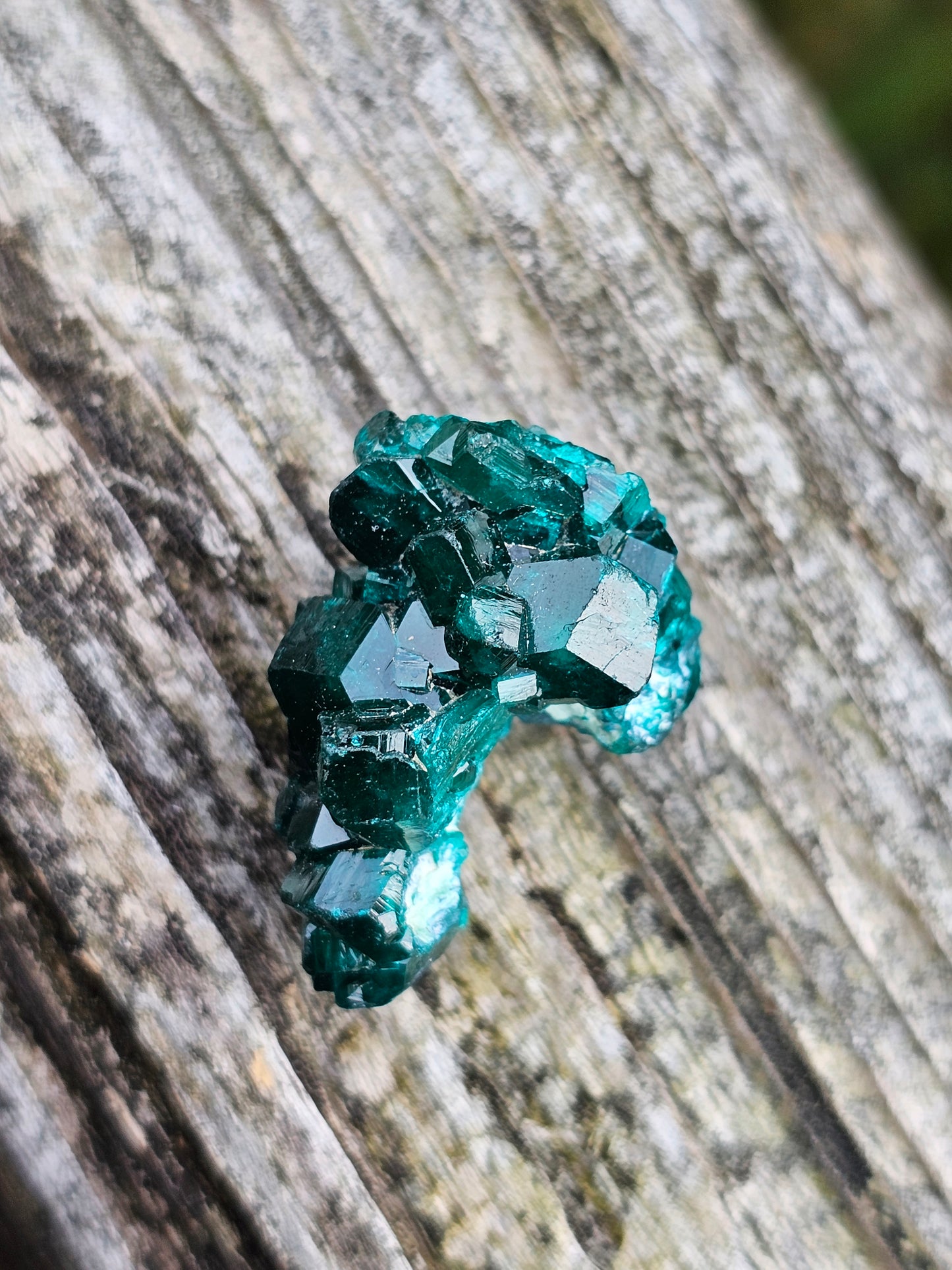 Dioptase cristallisée F