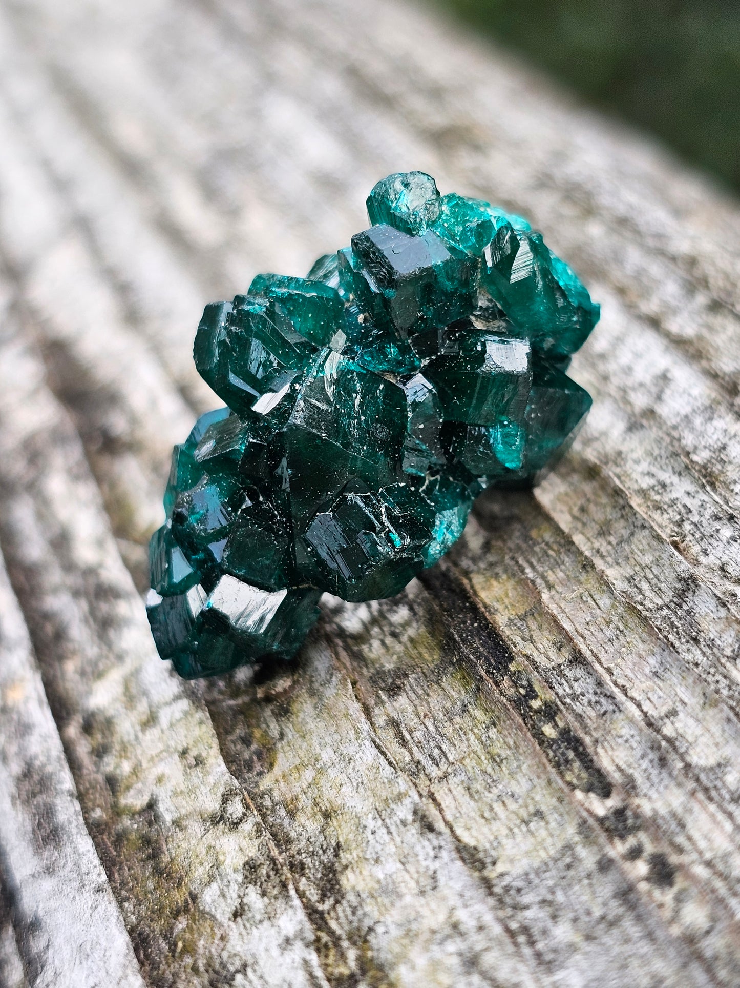 Dioptase cristallisée F