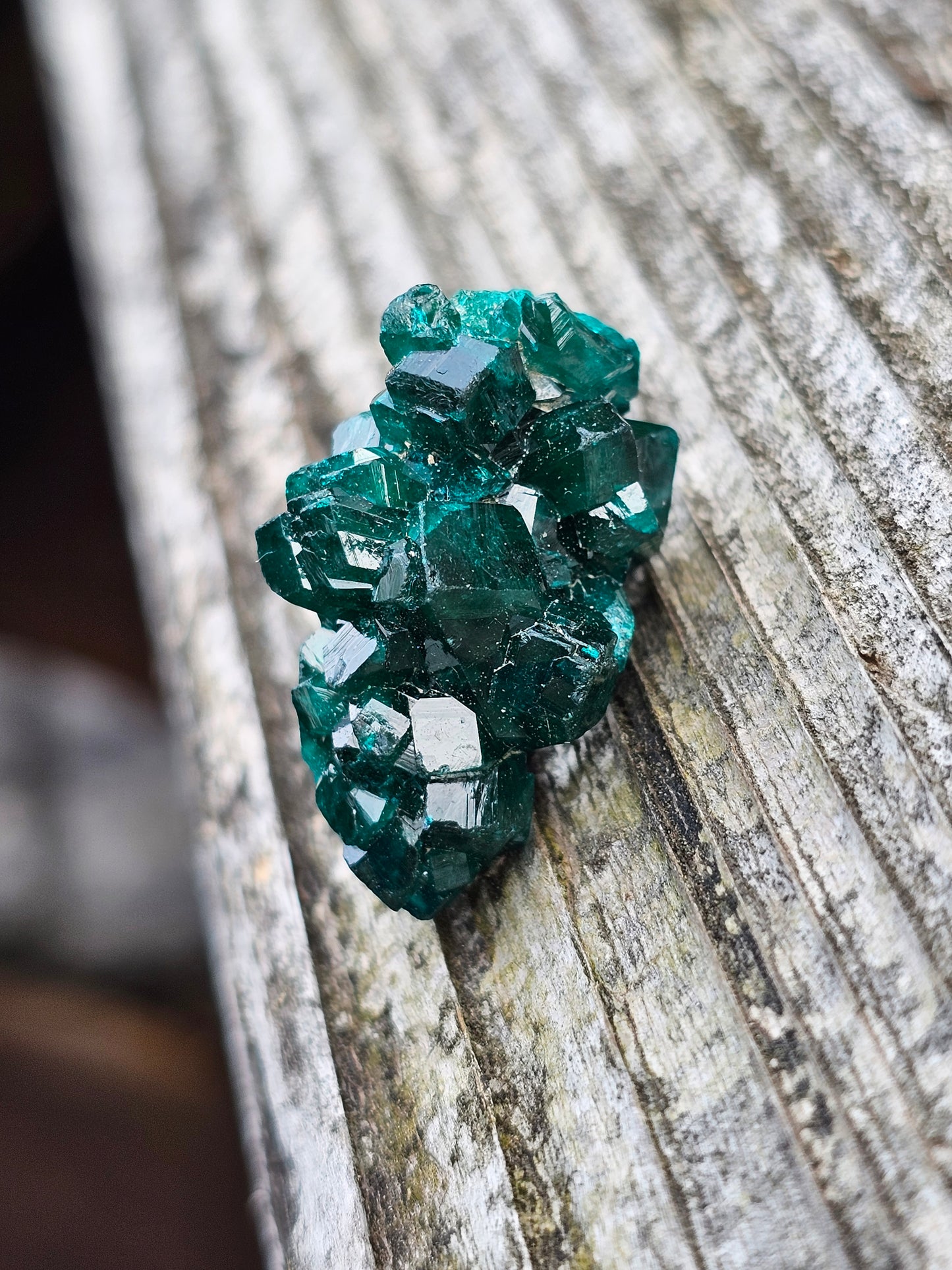Dioptase cristallisée F