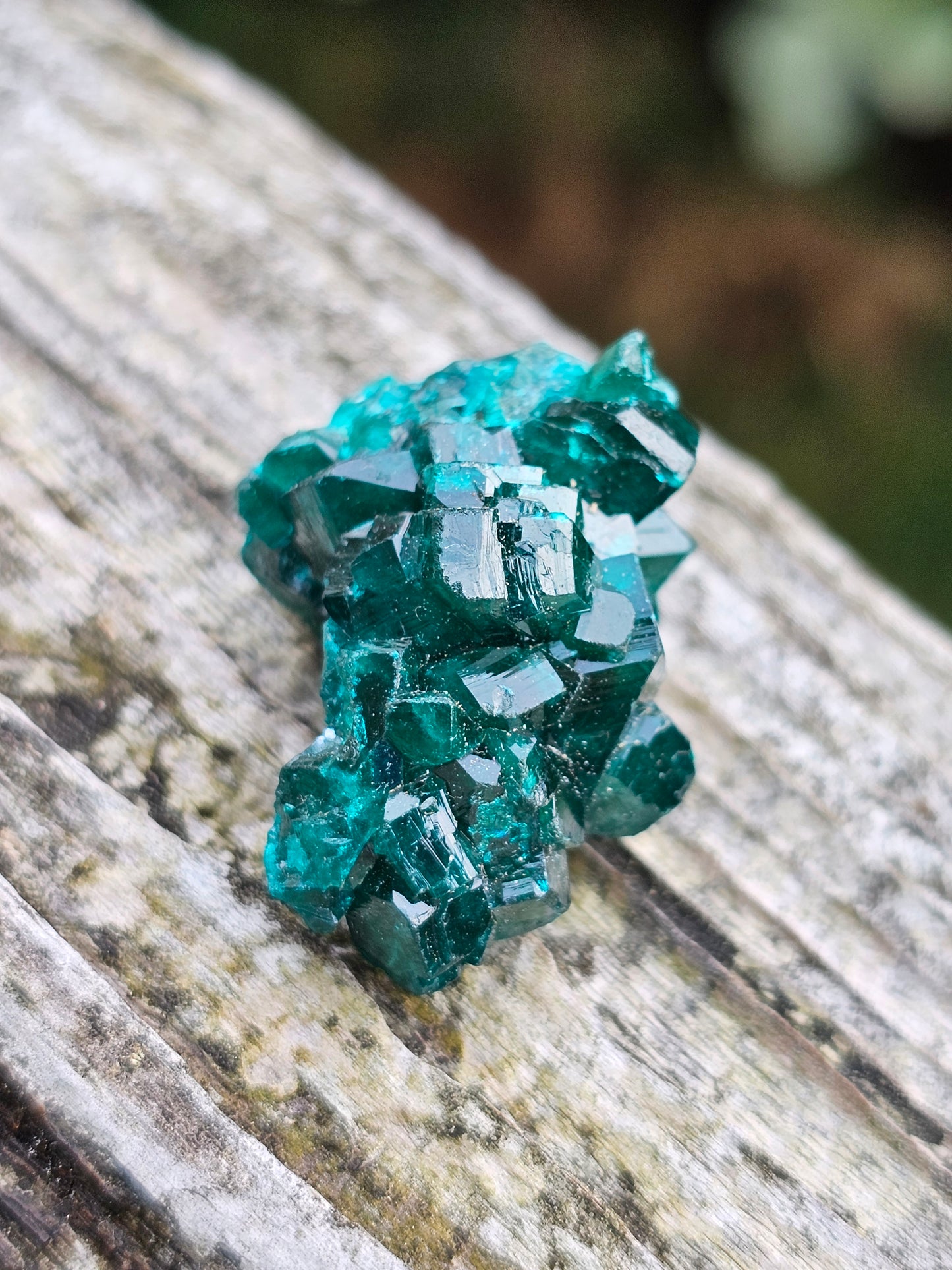 Dioptase cristallisée F