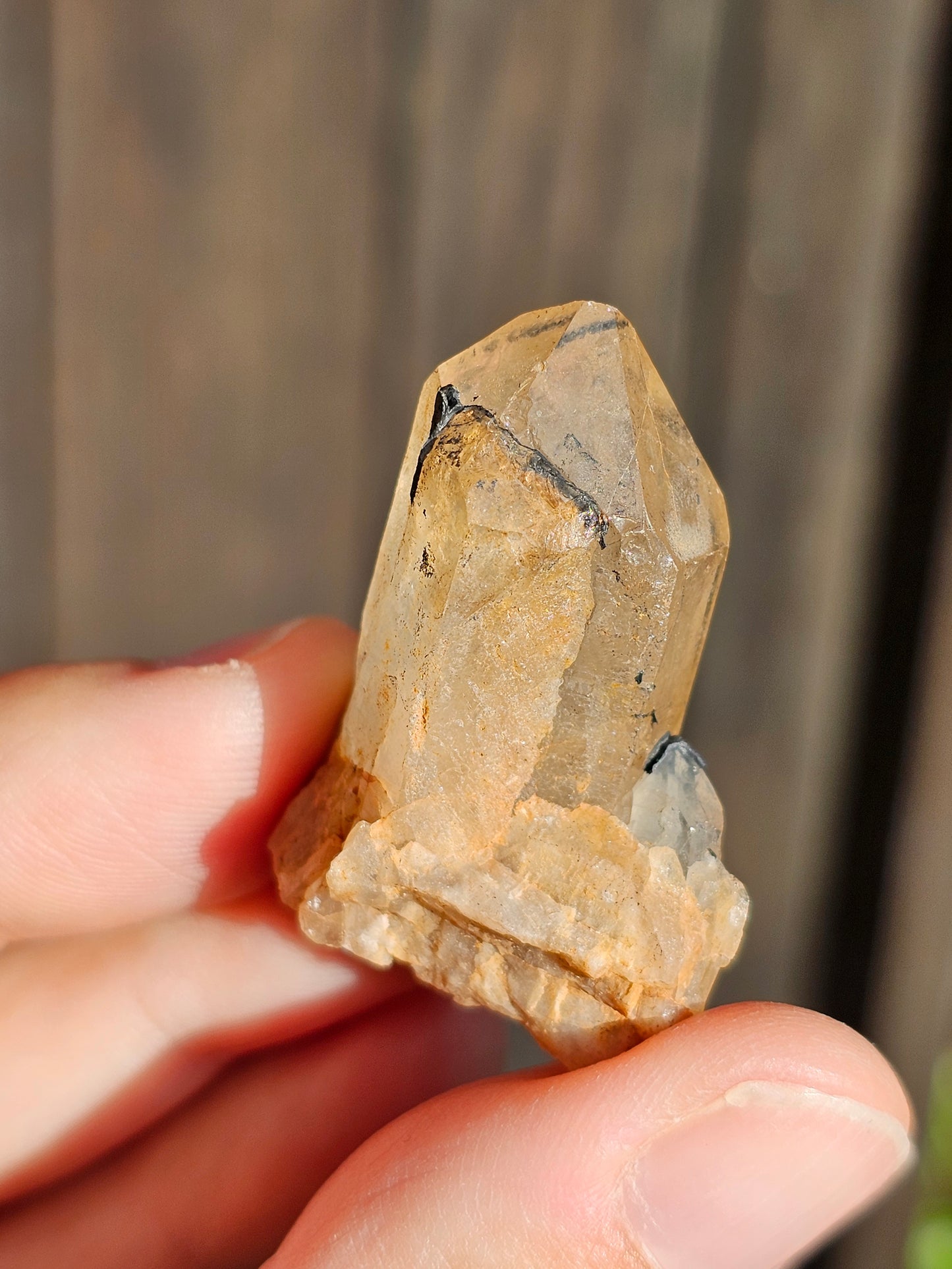 Citrine naturelle brute du Congo E