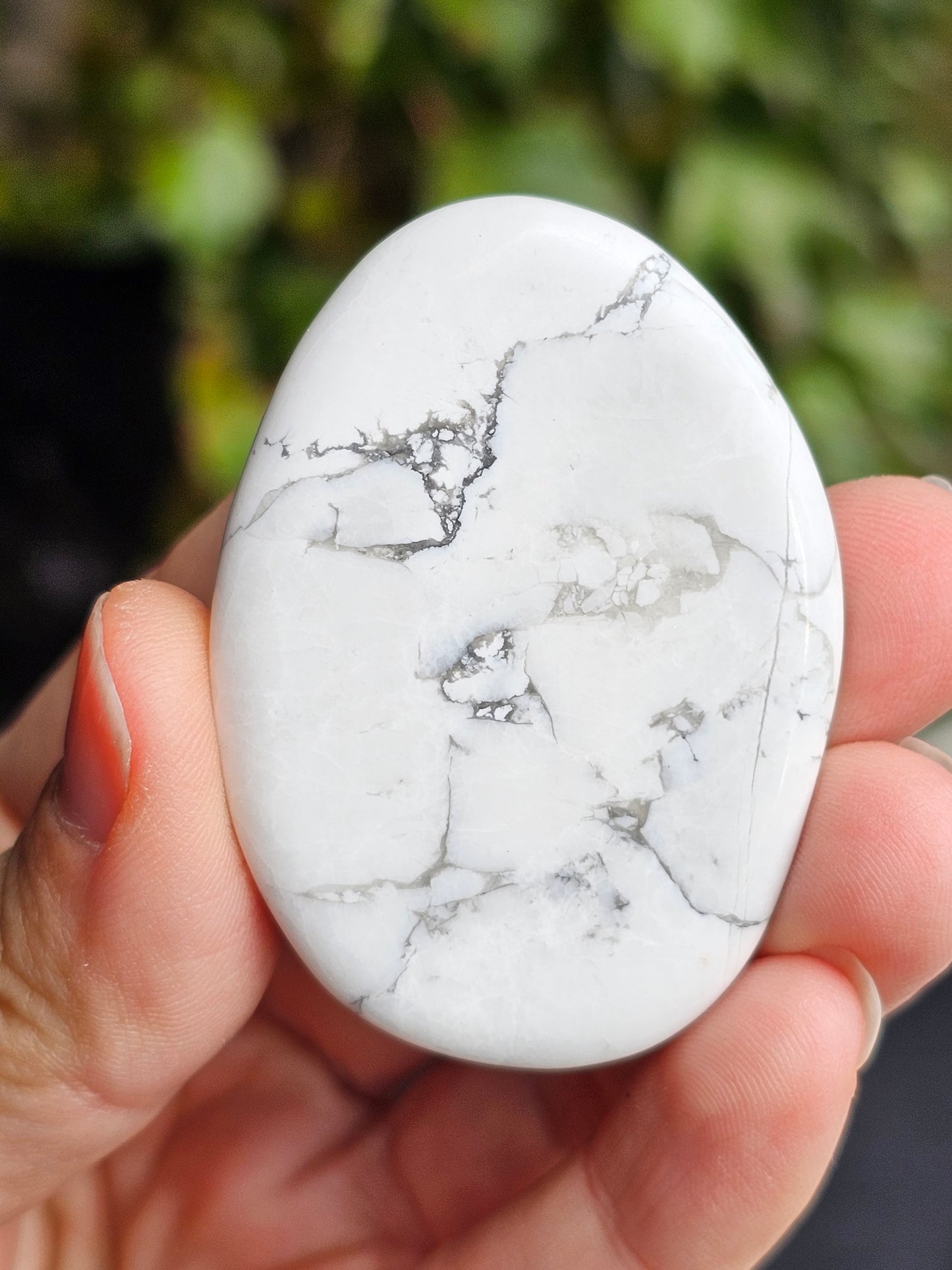 Galet plat Howlite (à choisir)