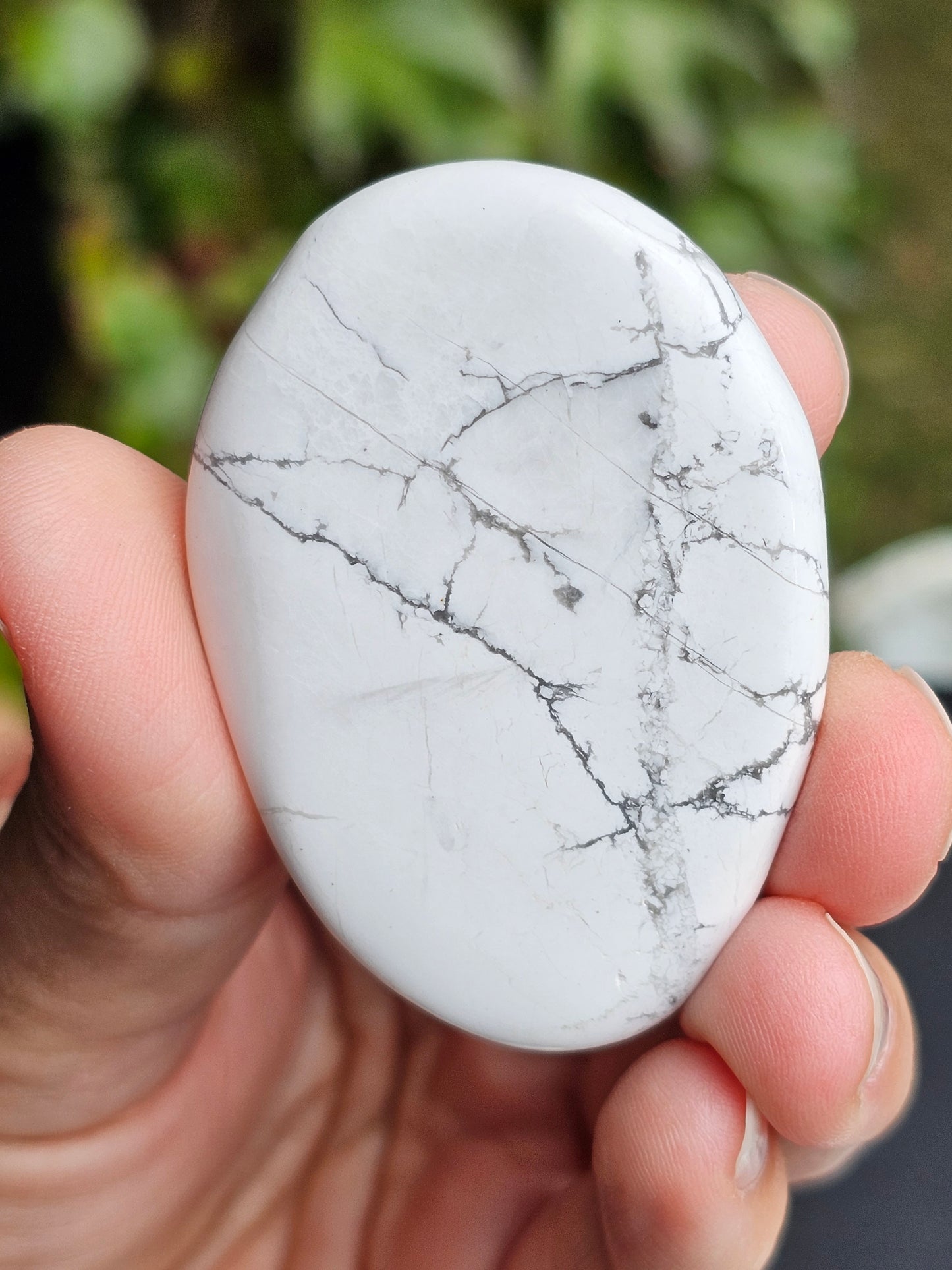 Galet plat Howlite (à choisir)