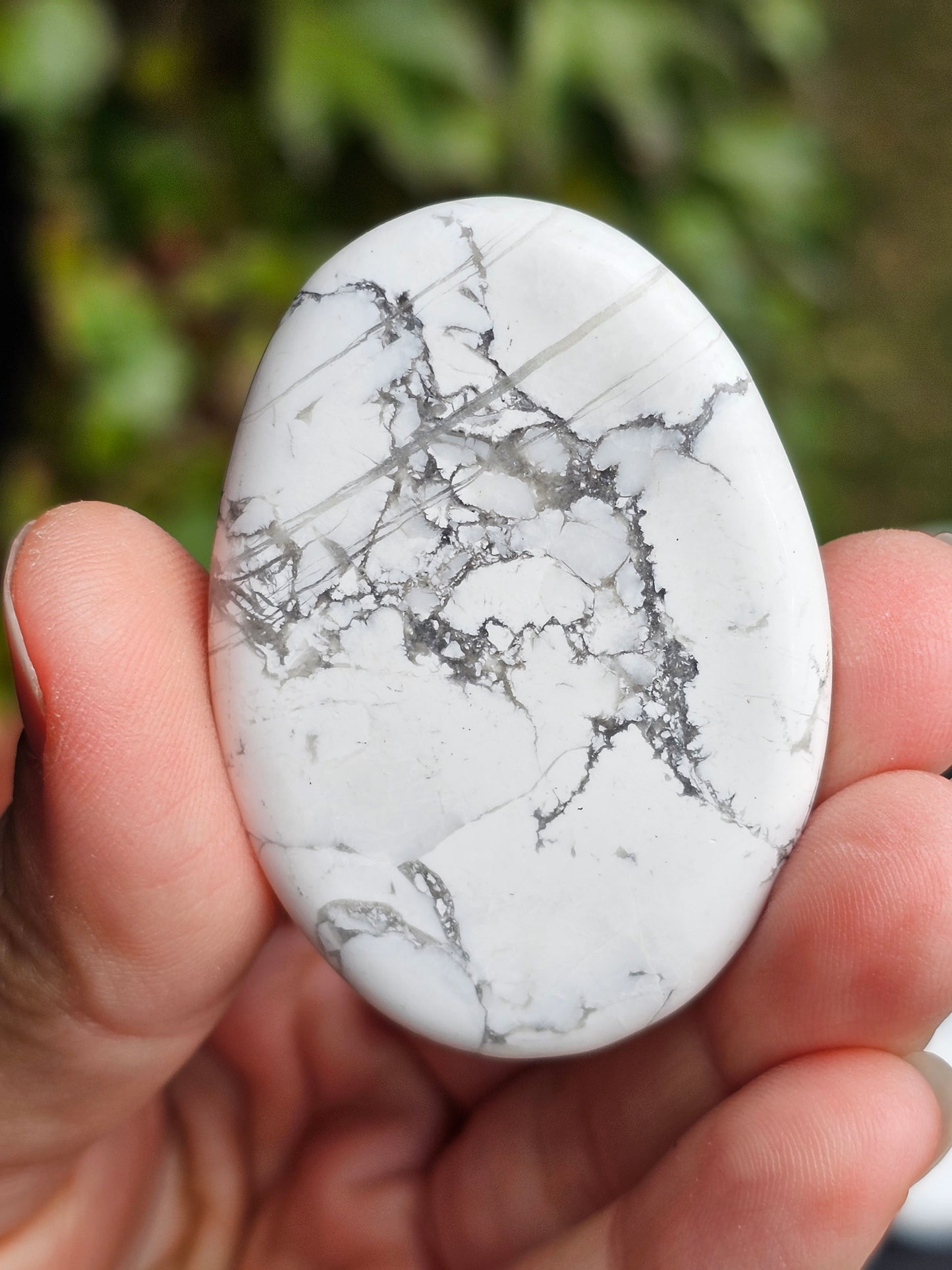 Galet plat Howlite (à choisir)