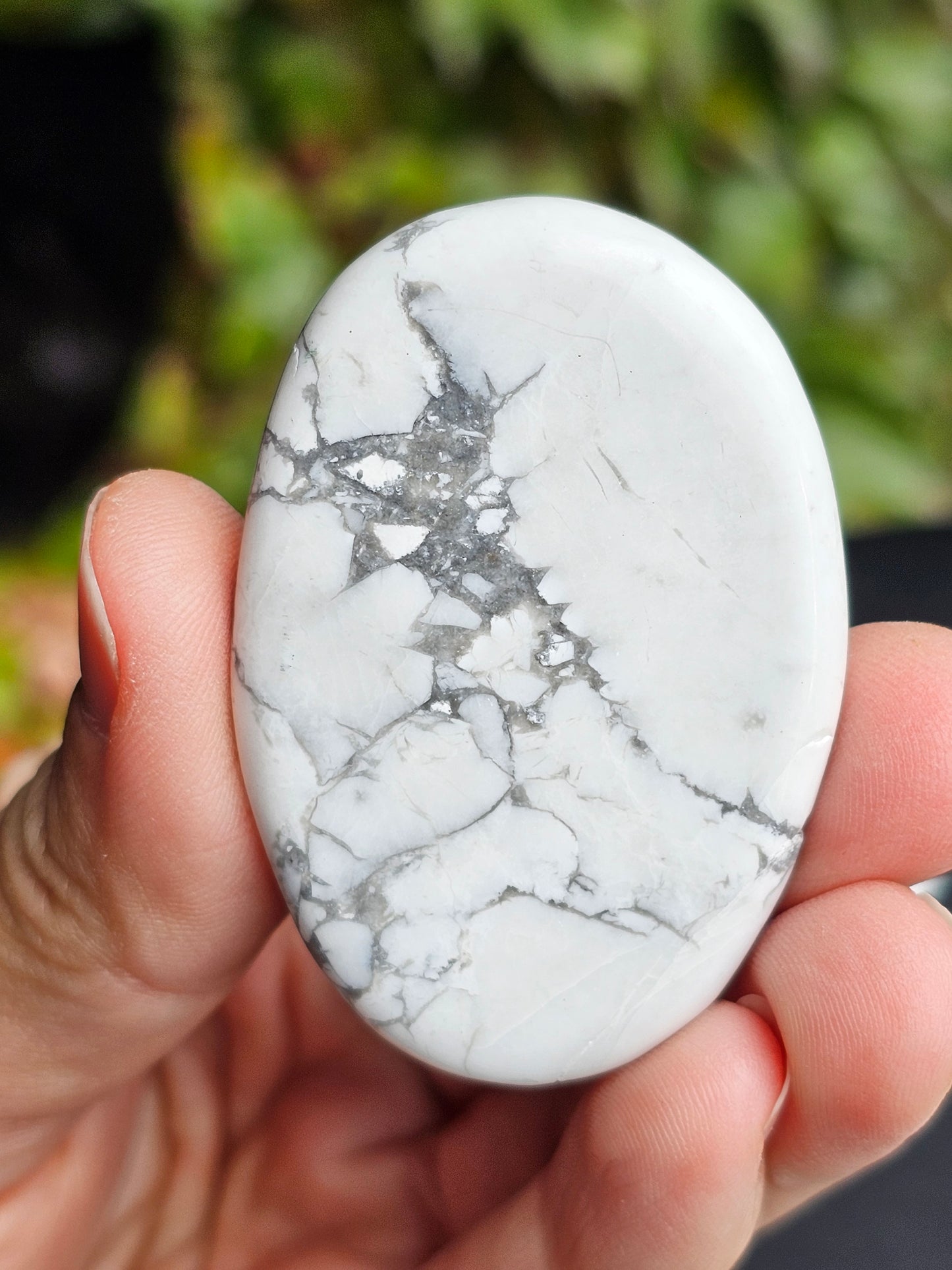 Galet plat Howlite (à choisir)