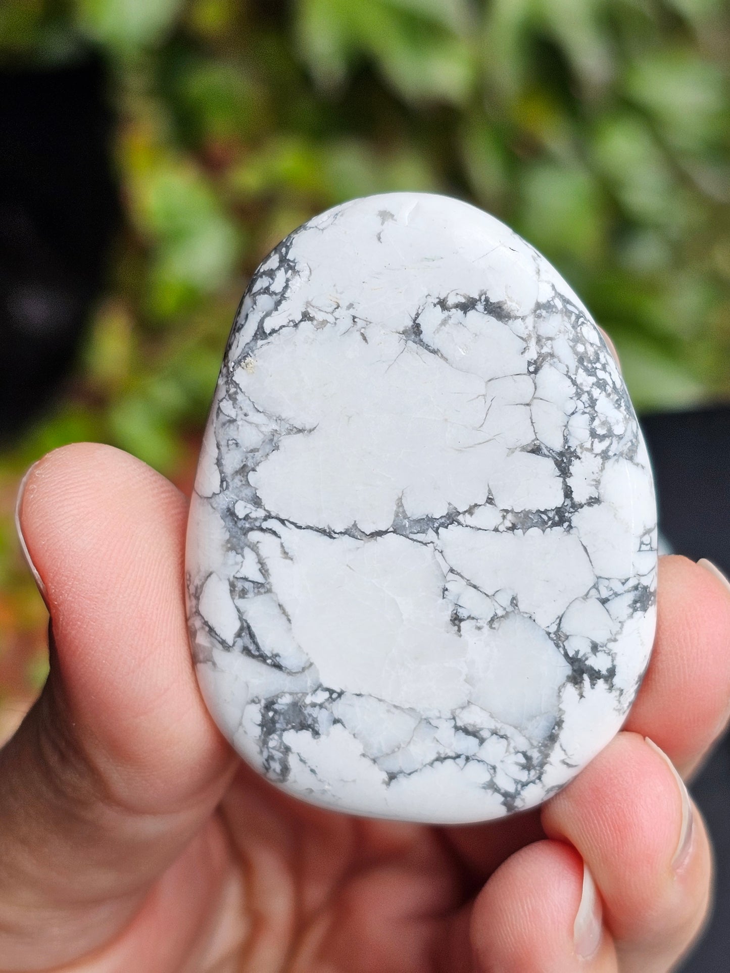 Galet plat Howlite (à choisir)