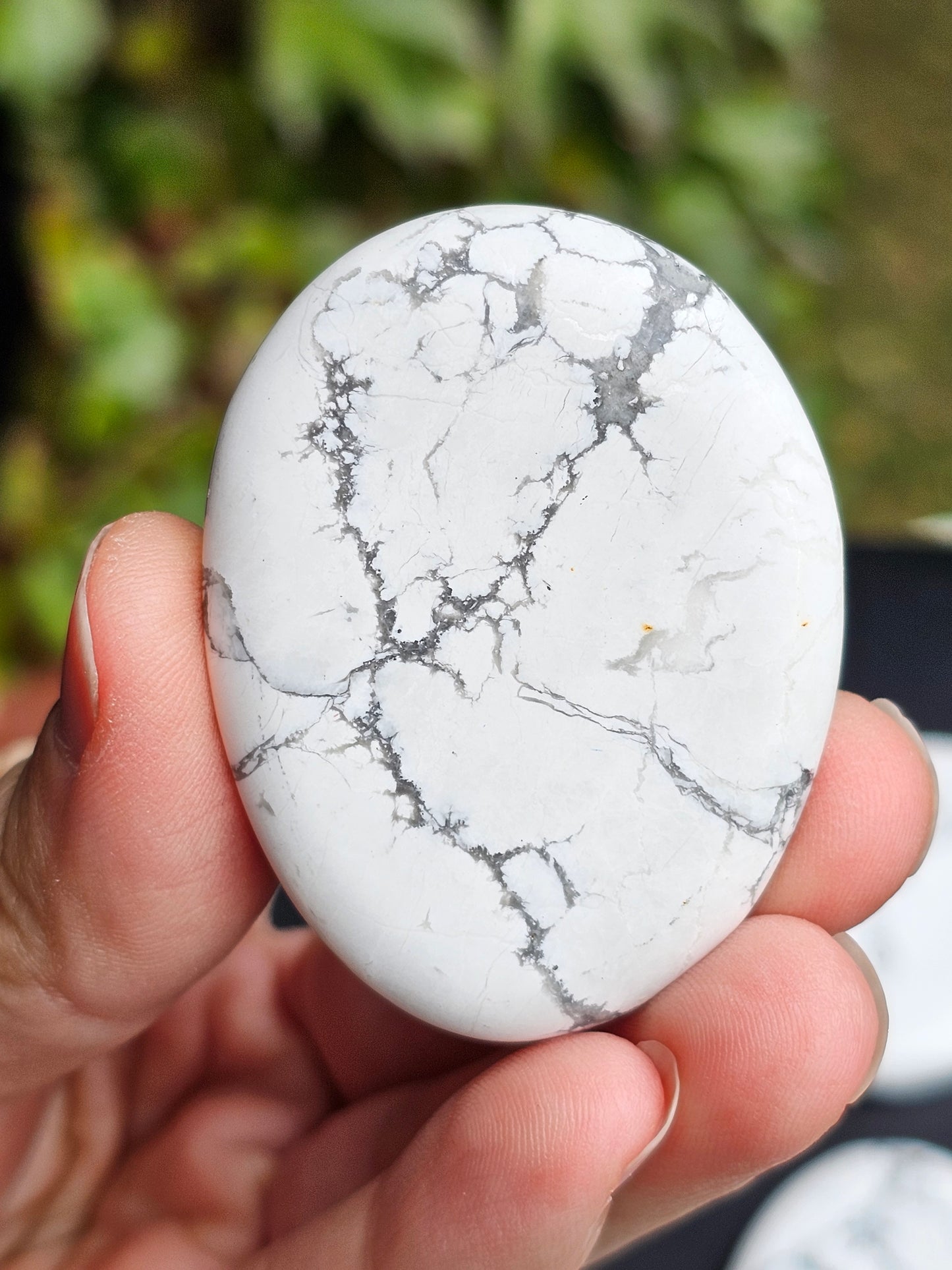 Galet plat Howlite (à choisir)
