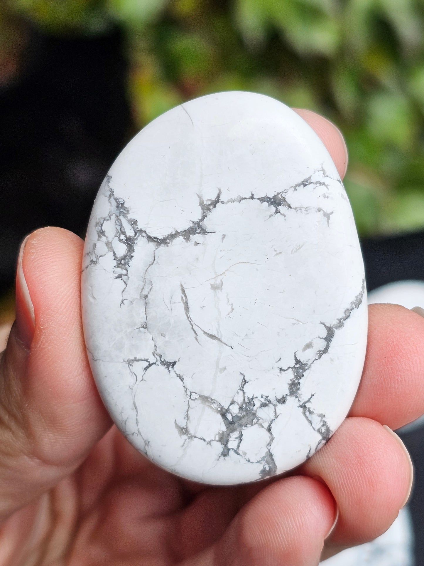 Galet plat Howlite (à choisir)