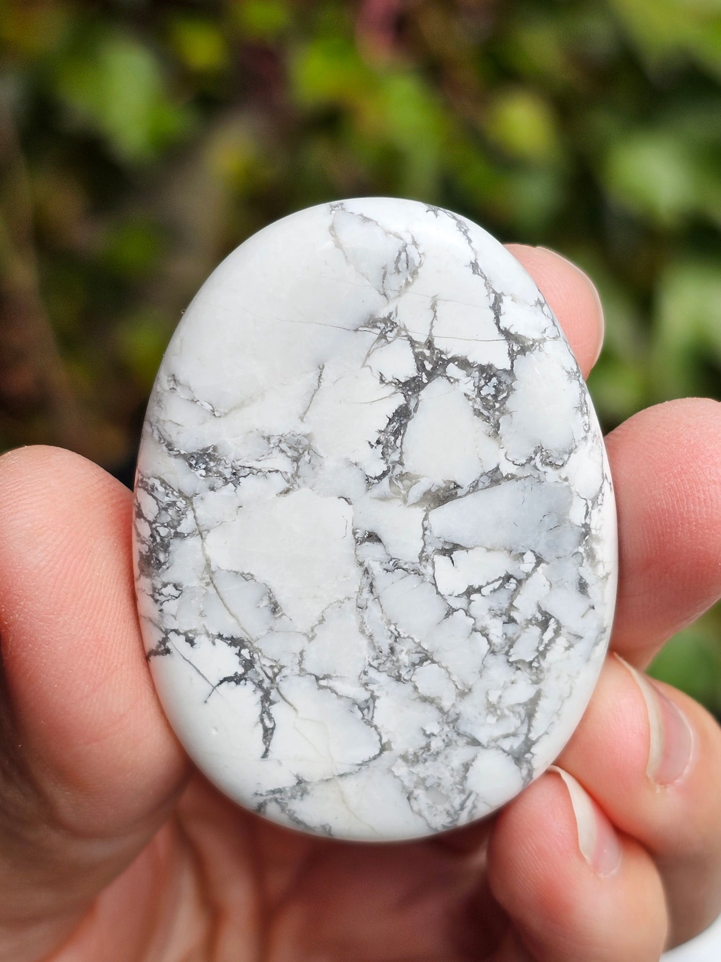 Galet plat Howlite (à choisir)