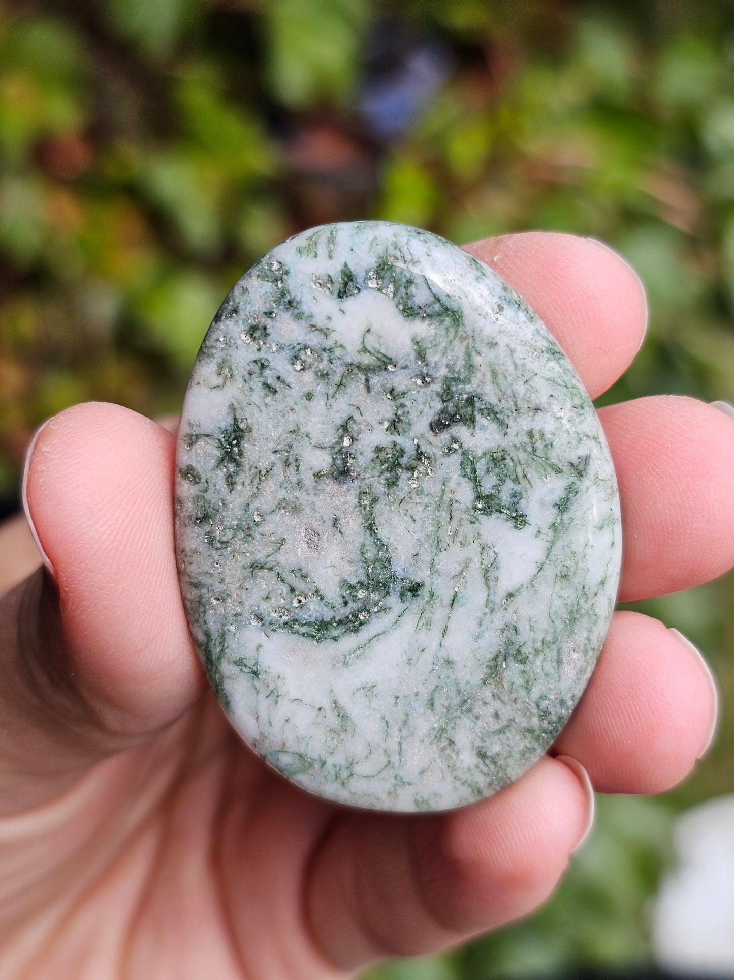 Galet plat Agate arbre (à choisir)