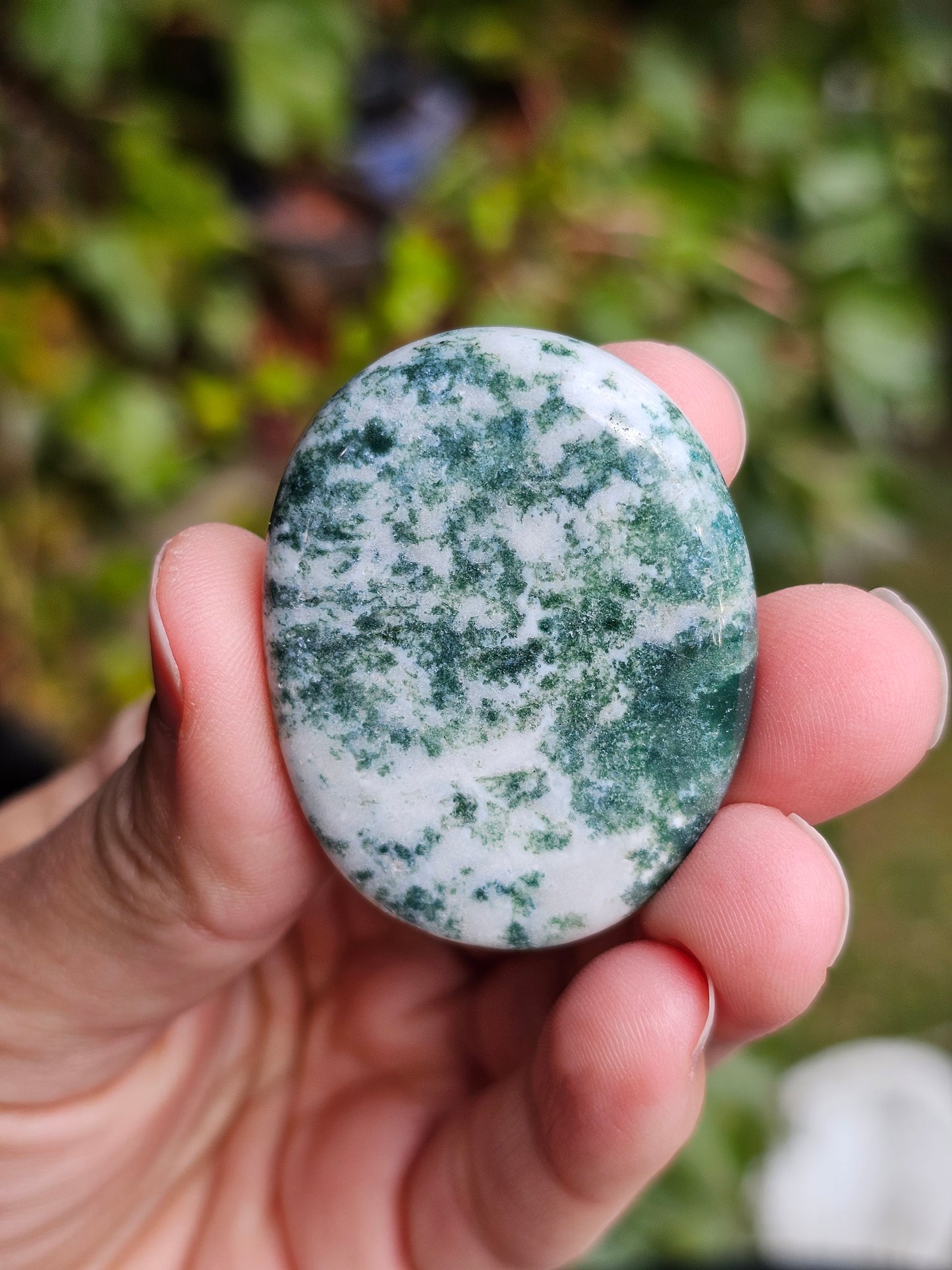 Galet plat Agate arbre (à choisir)
