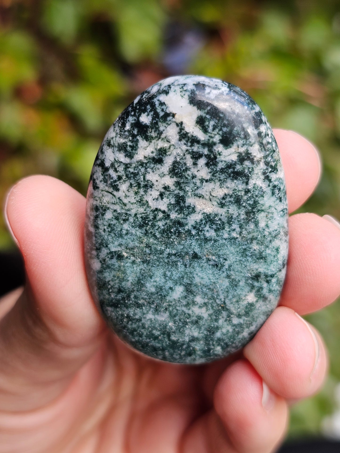 Galet plat Agate arbre (à choisir)