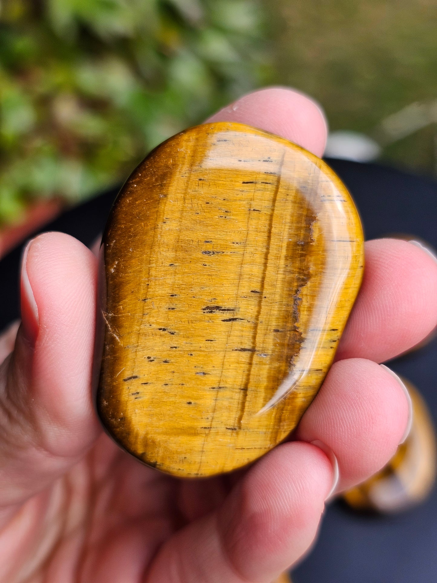Galet plat Œil de tigre (à choisir)