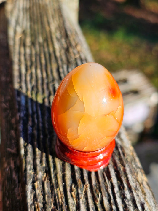 Œuf de Cornaline (à choisir)