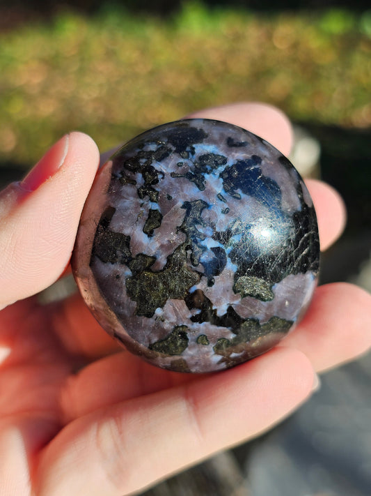 Galet Gabbro (à choisir)