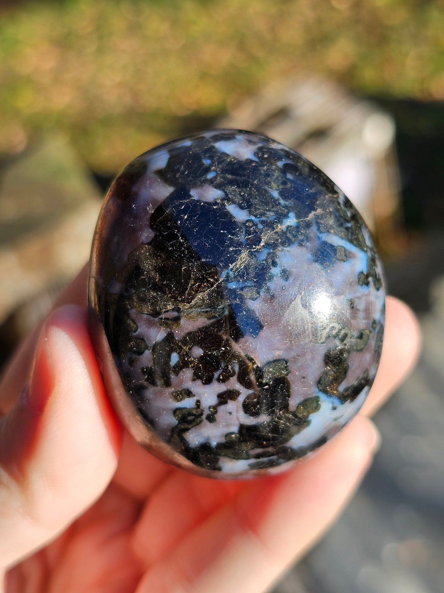 Galet Gabbro (à choisir)