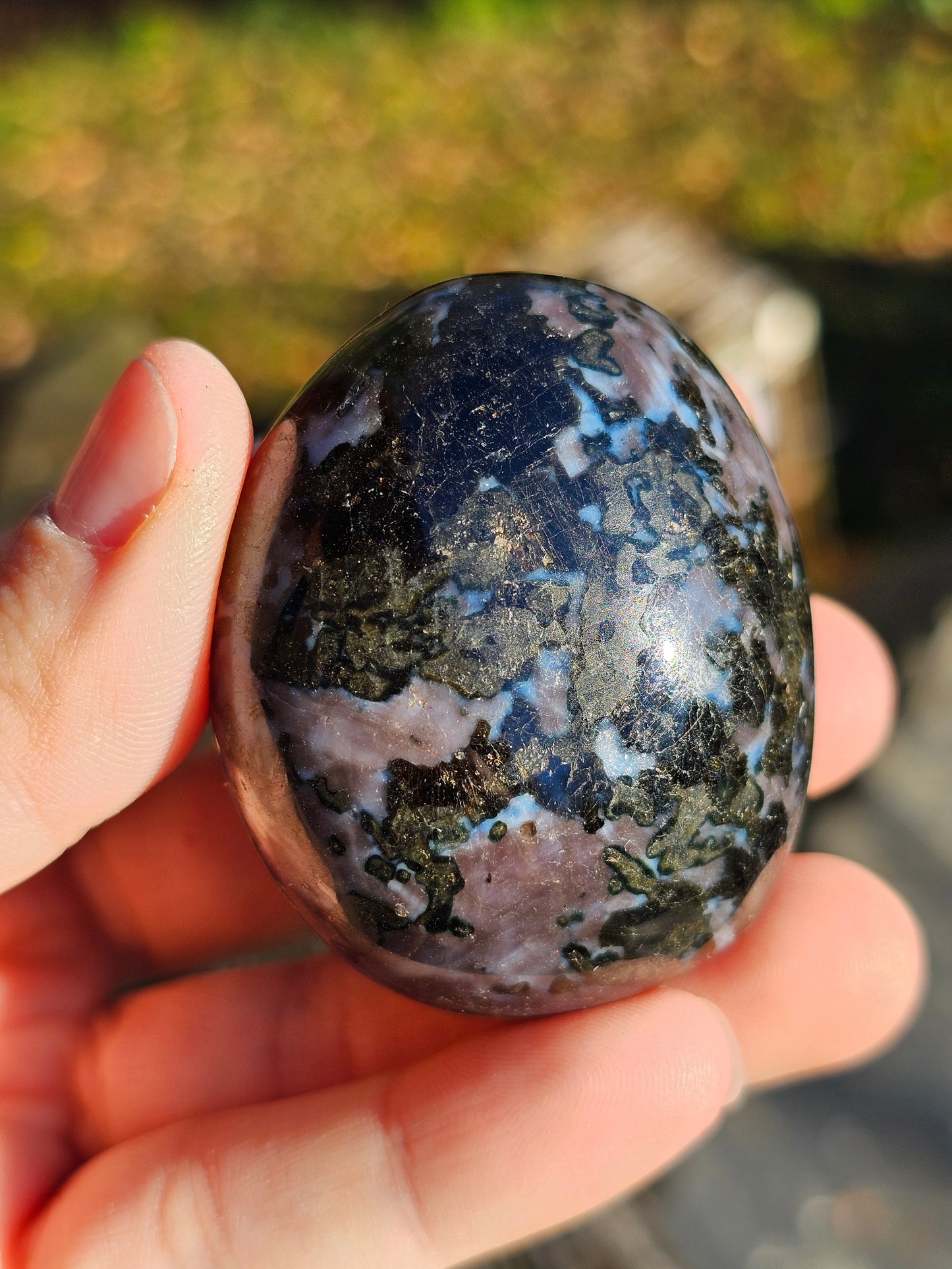 Galet Gabbro (à choisir)
