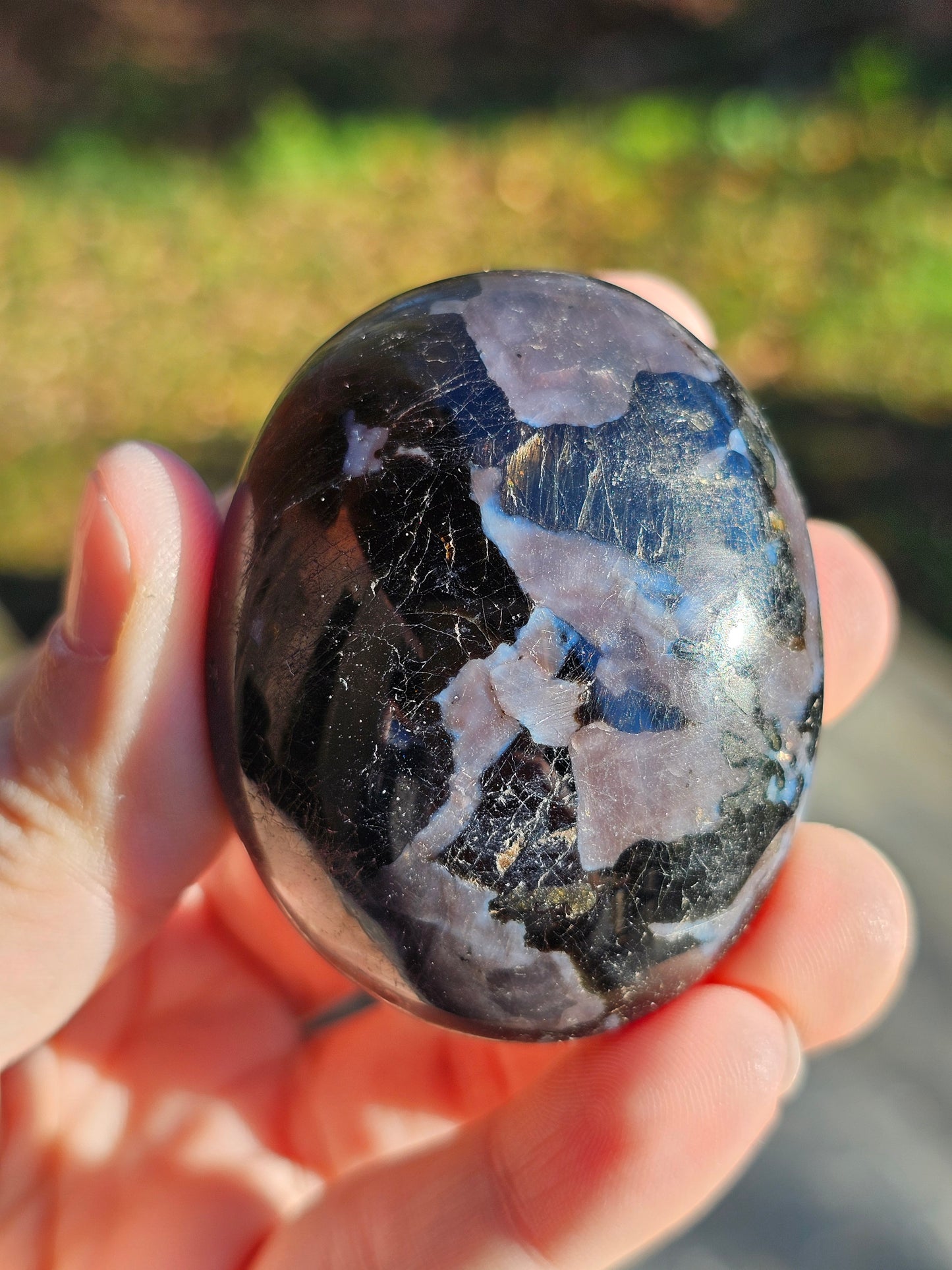 Galet Gabbro (à choisir)