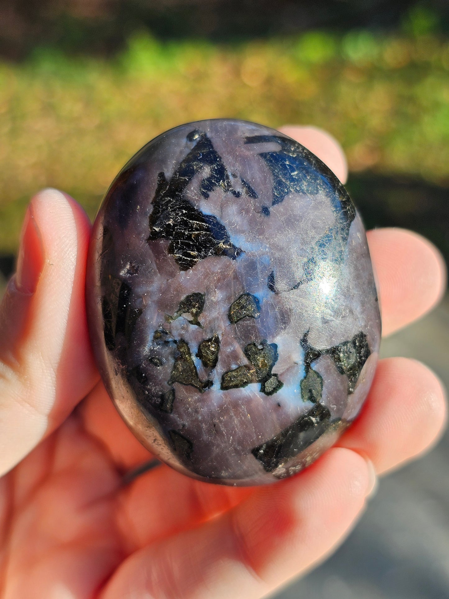 Galet Gabbro (à choisir)