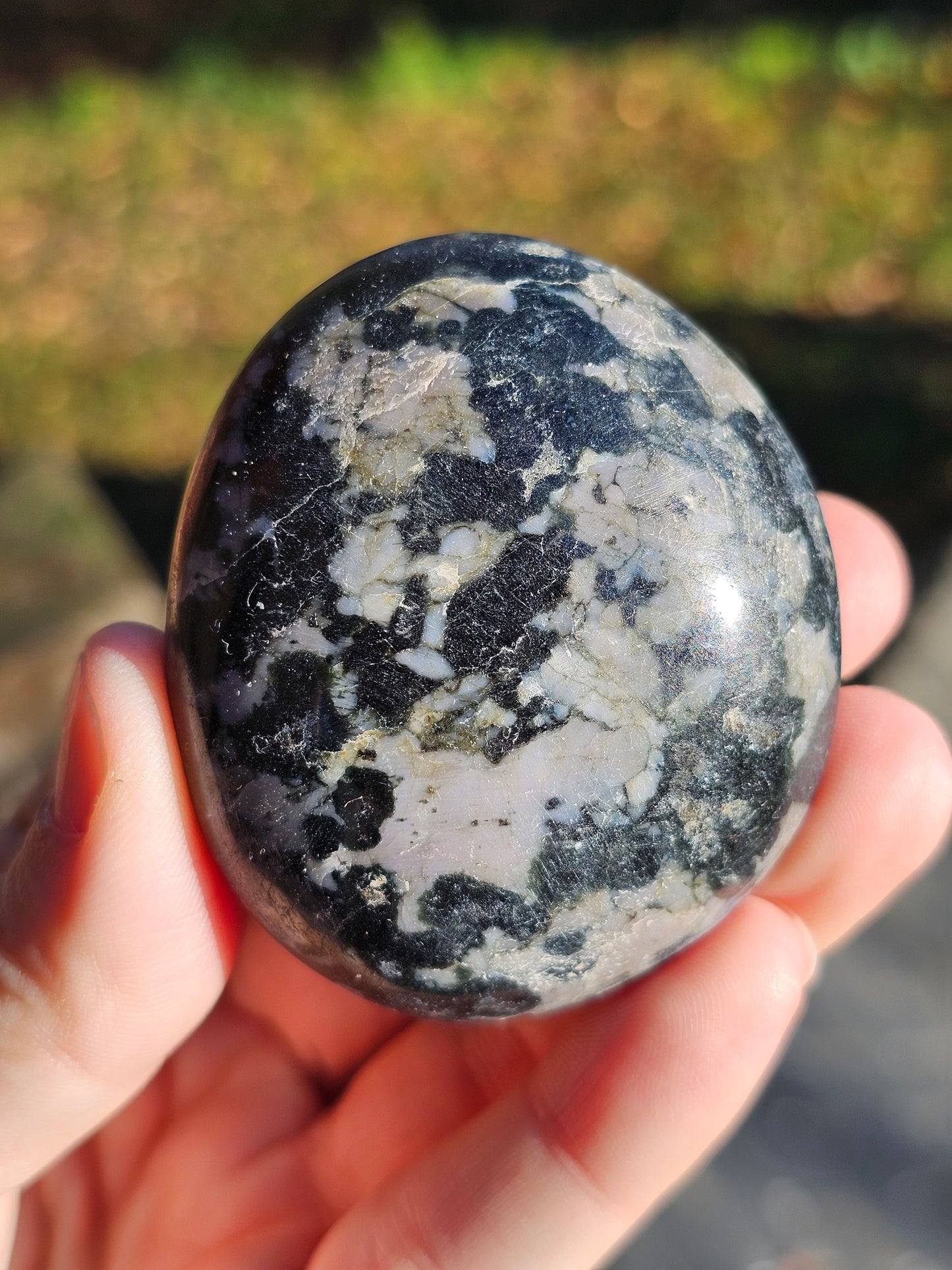 Galet Gabbro (à choisir)