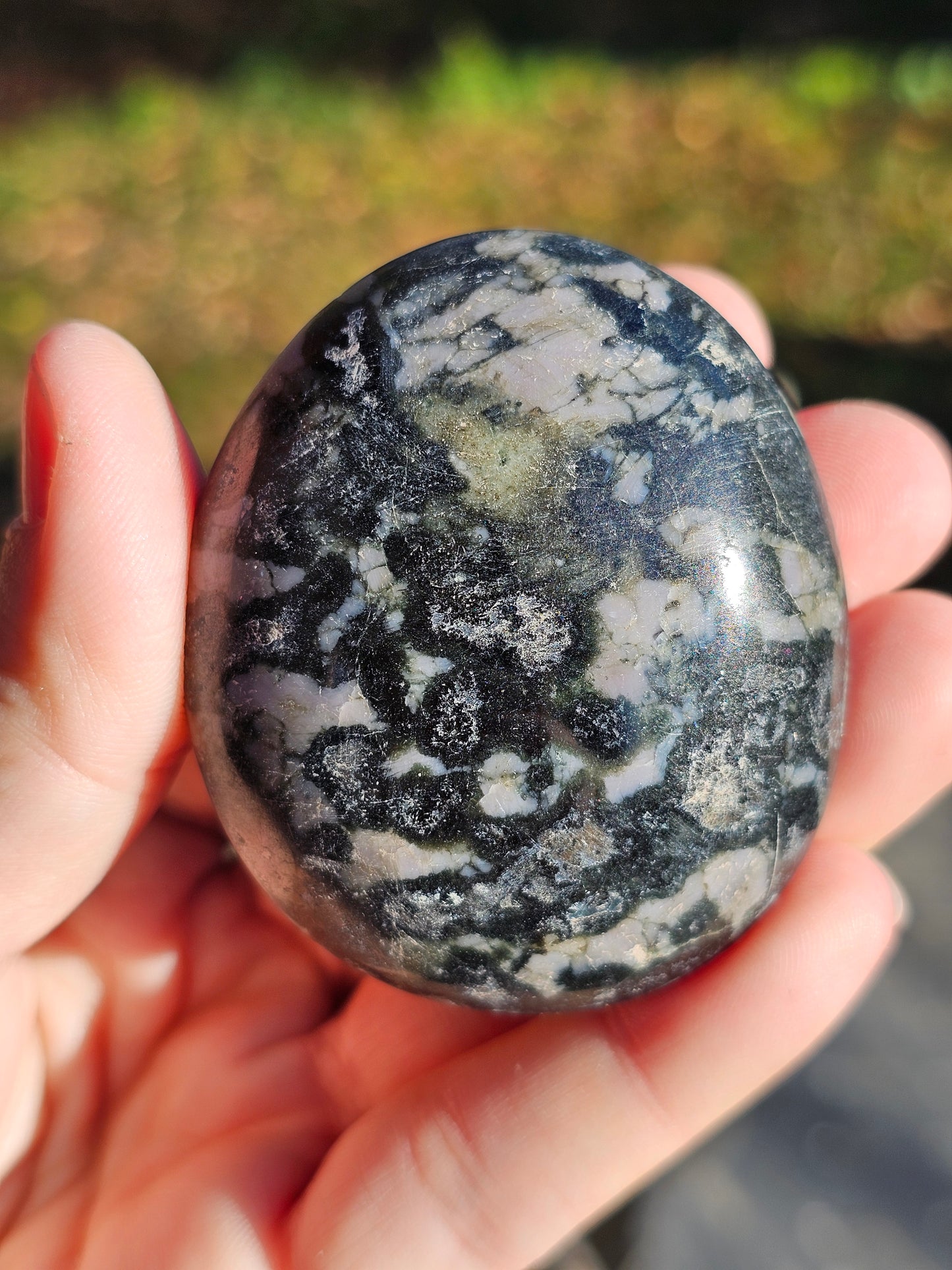 Galet Gabbro (à choisir)